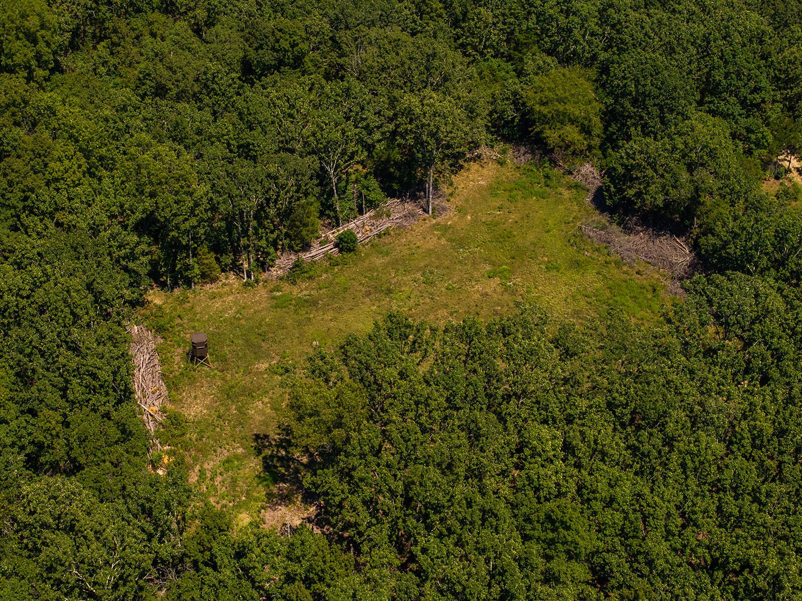 4991 Hwy Hh Property Photo 19