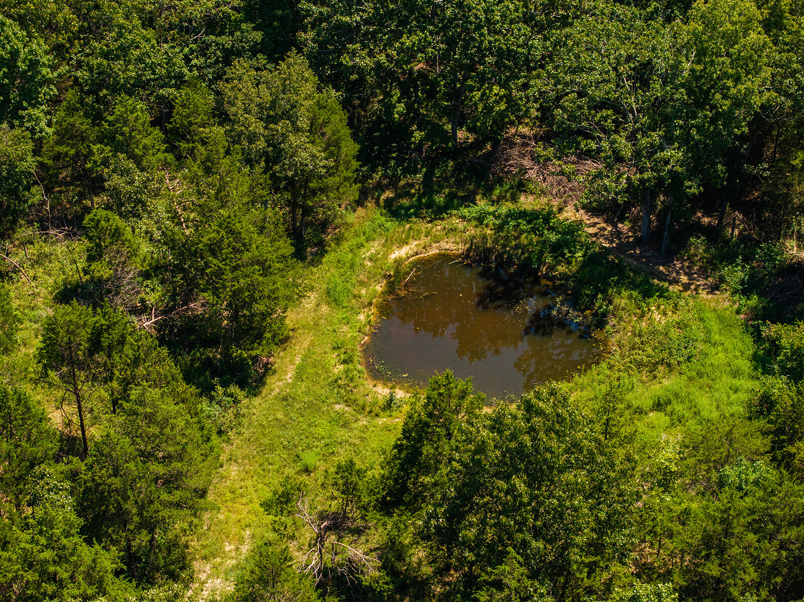 4991 Hwy Hh Property Photo 21