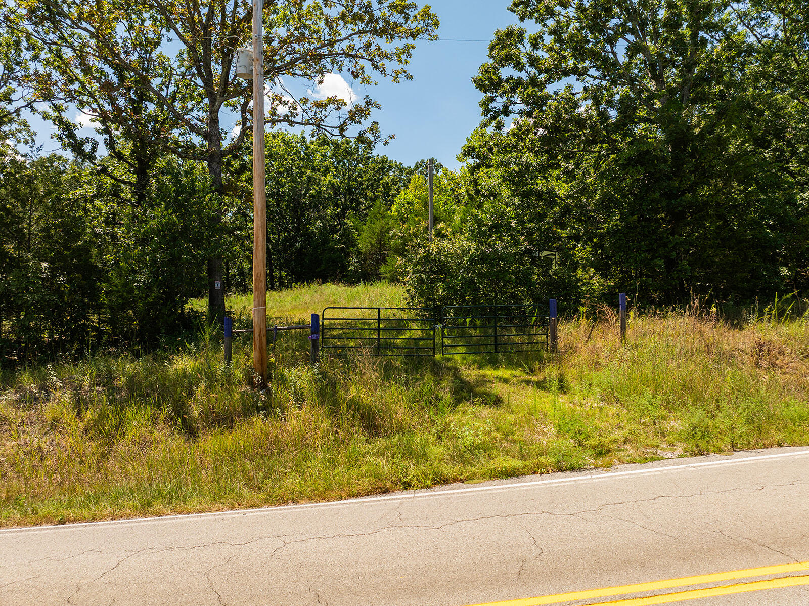 4991 Hwy Hh Property Photo 22