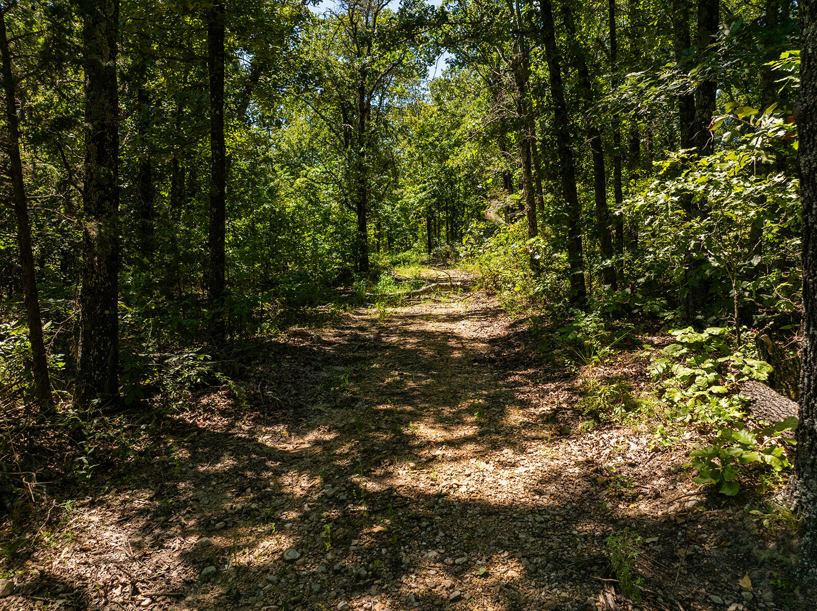 4991 Hwy Hh Property Photo 23