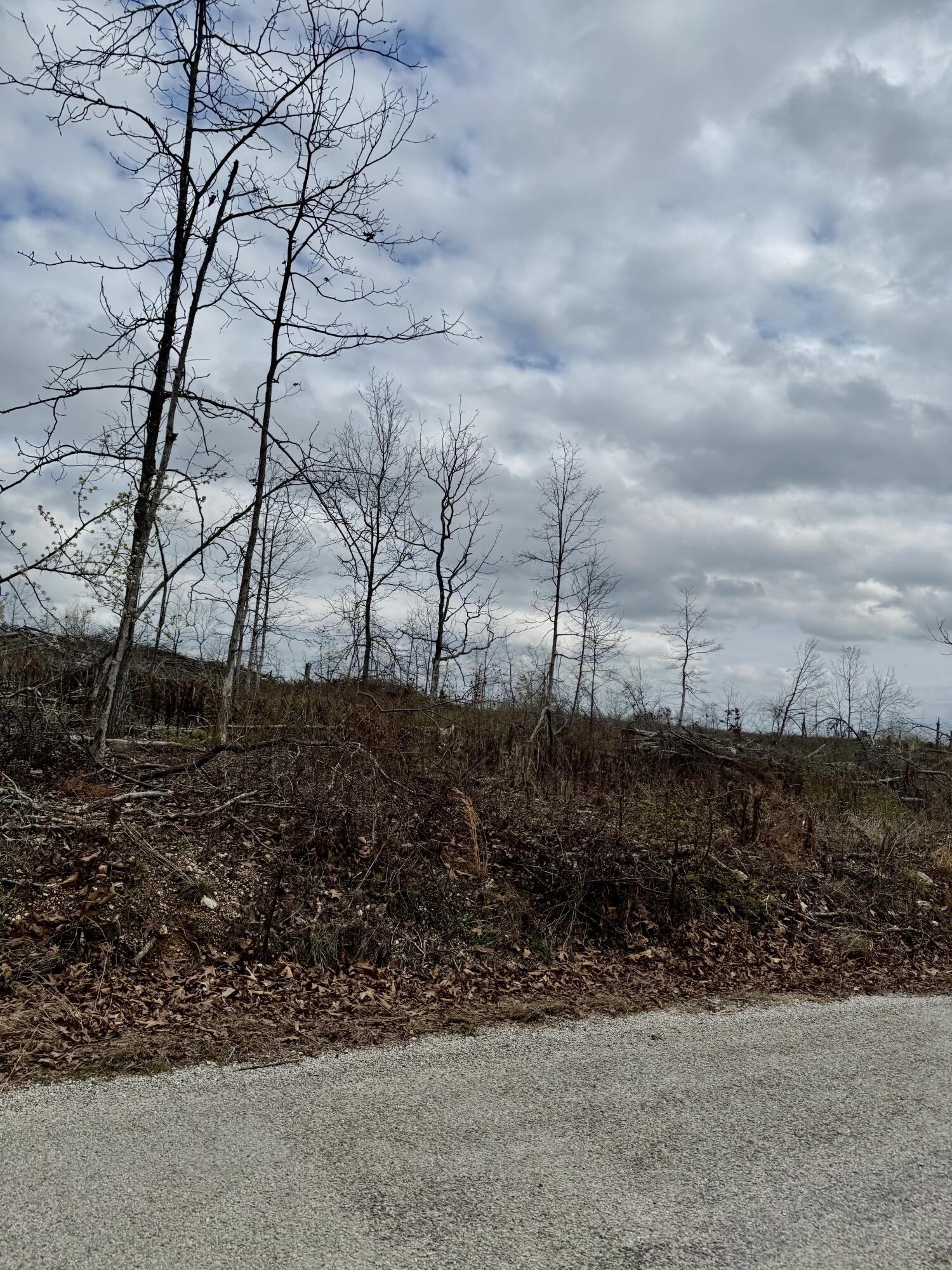 1365 County Road 3500 Property Photo 4