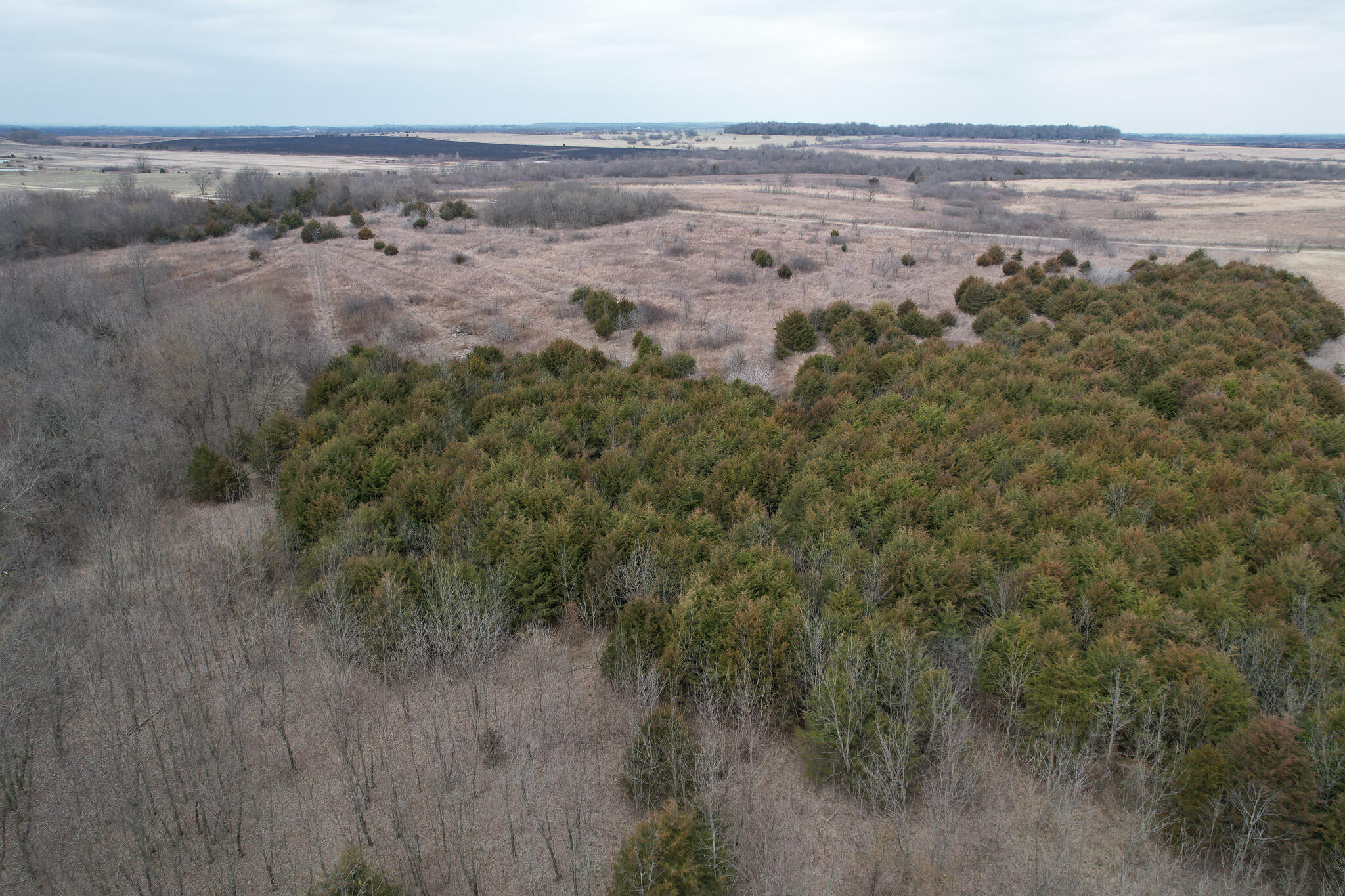 890 Northwest 100th Road Property Photo 4