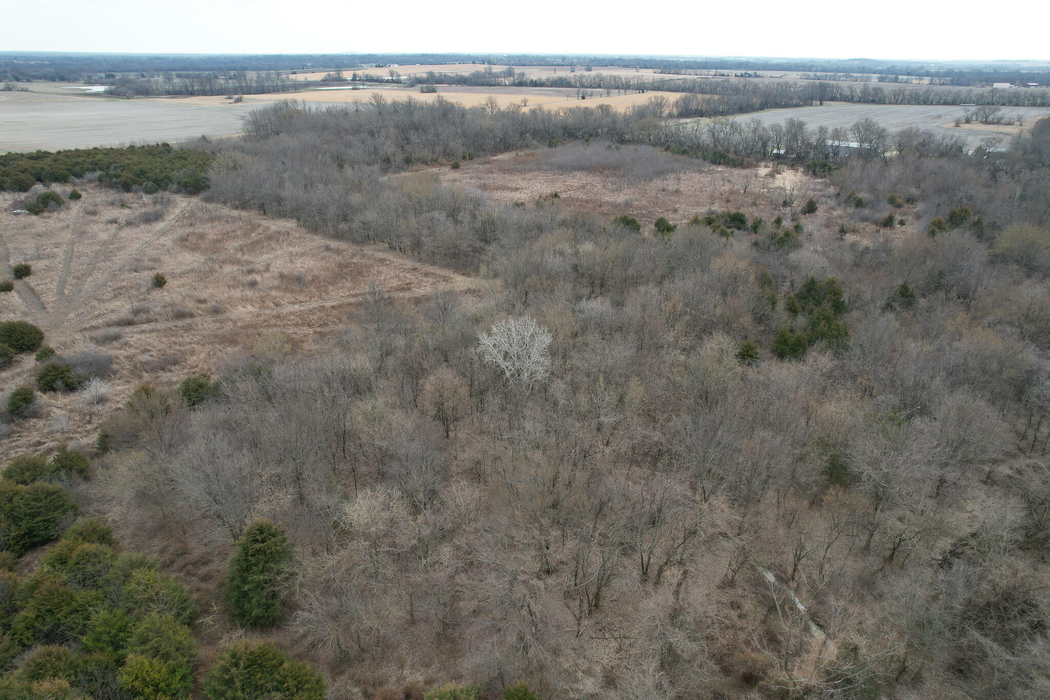 890 Northwest 100th Road Property Photo 6