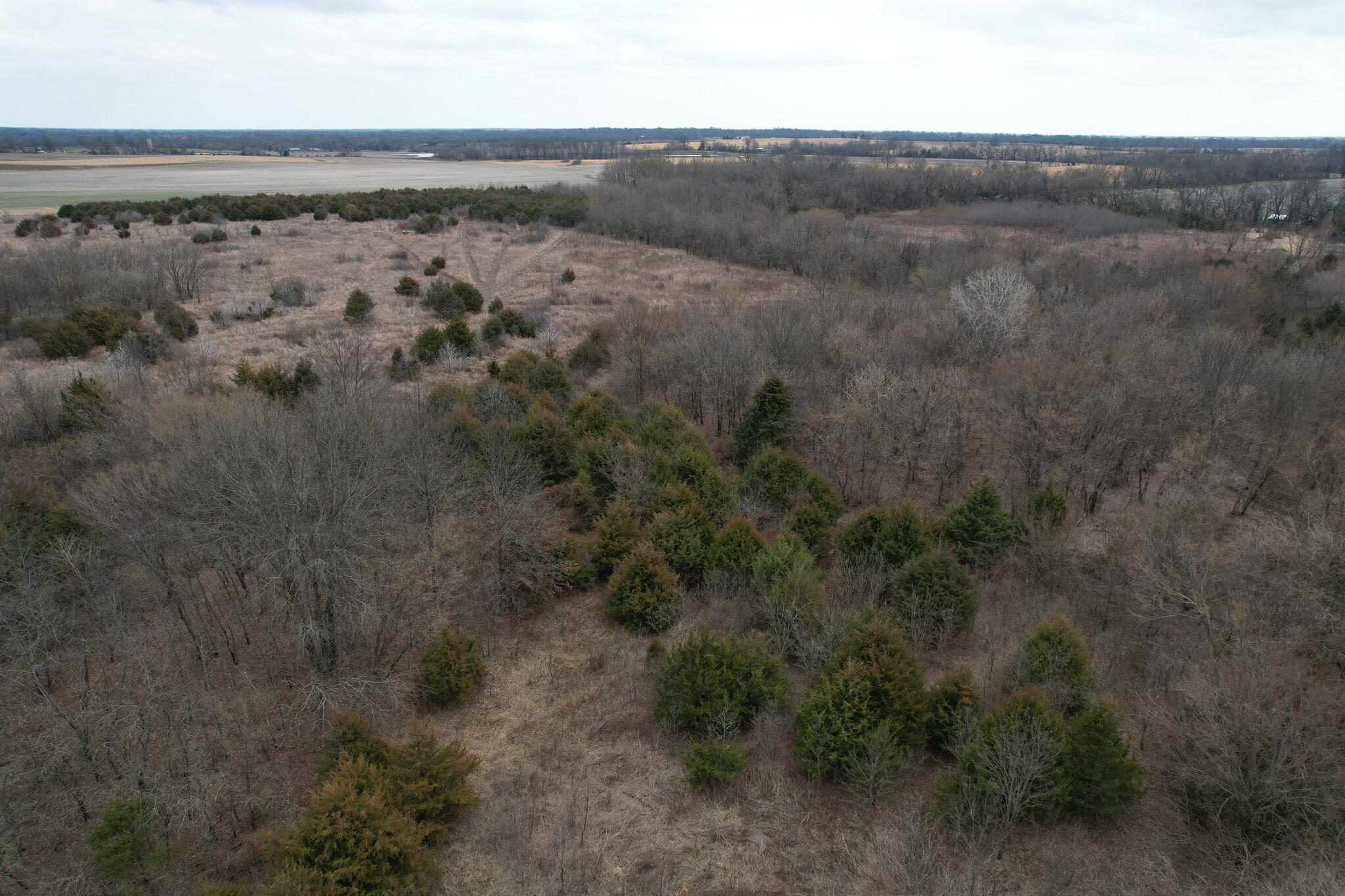 890 Northwest 100th Road Property Photo 7