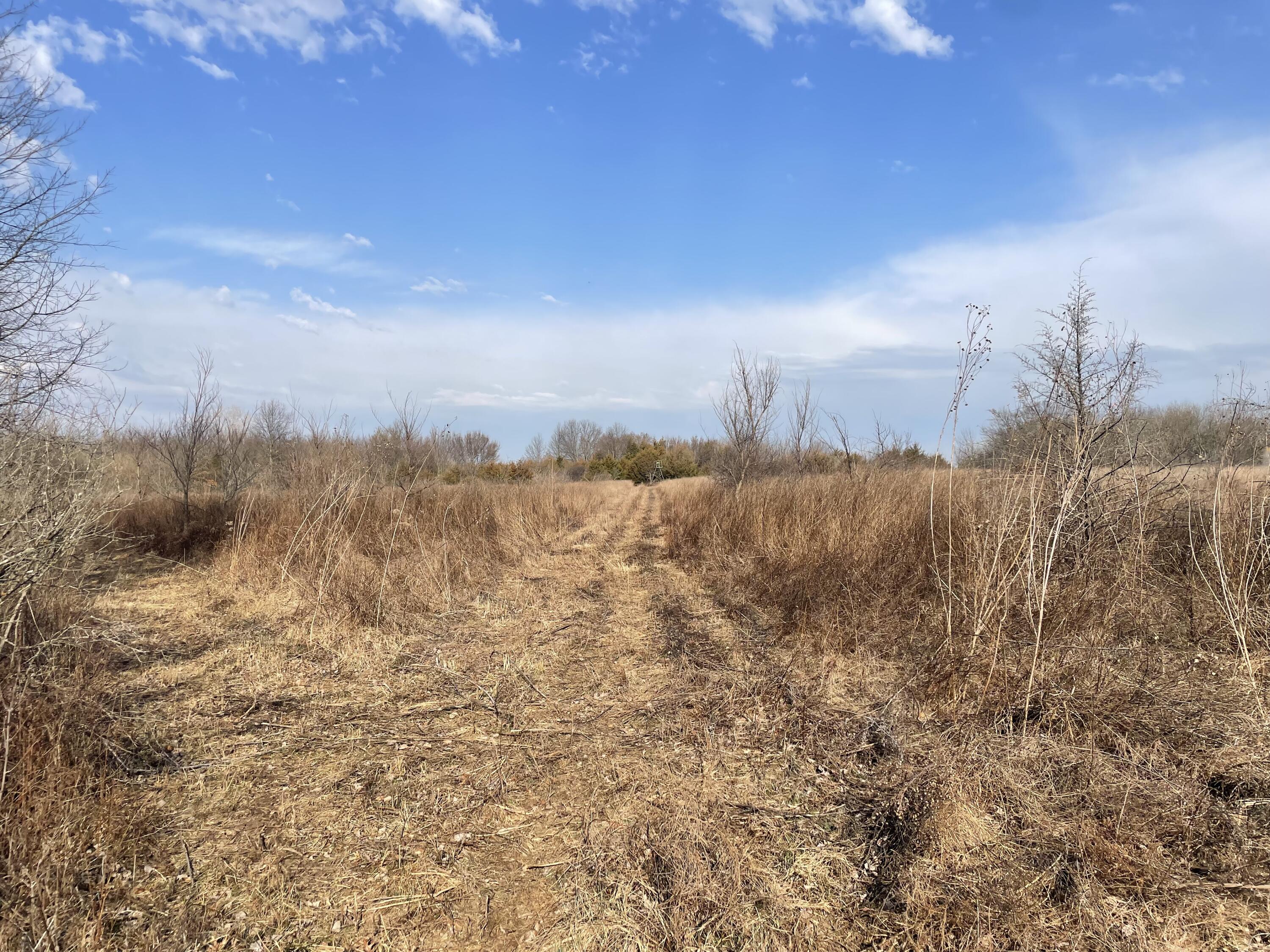 890 Northwest 100th Road Property Photo 14