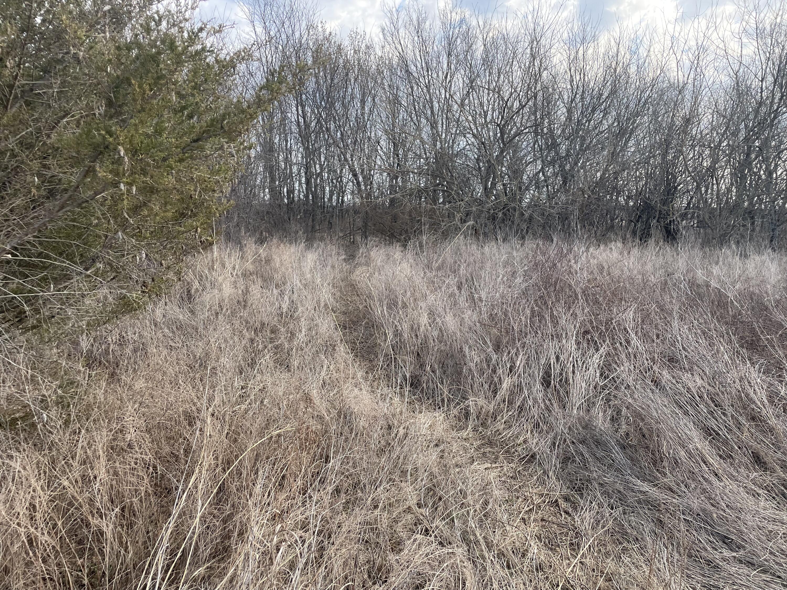 890 Northwest 100th Road Property Photo 16