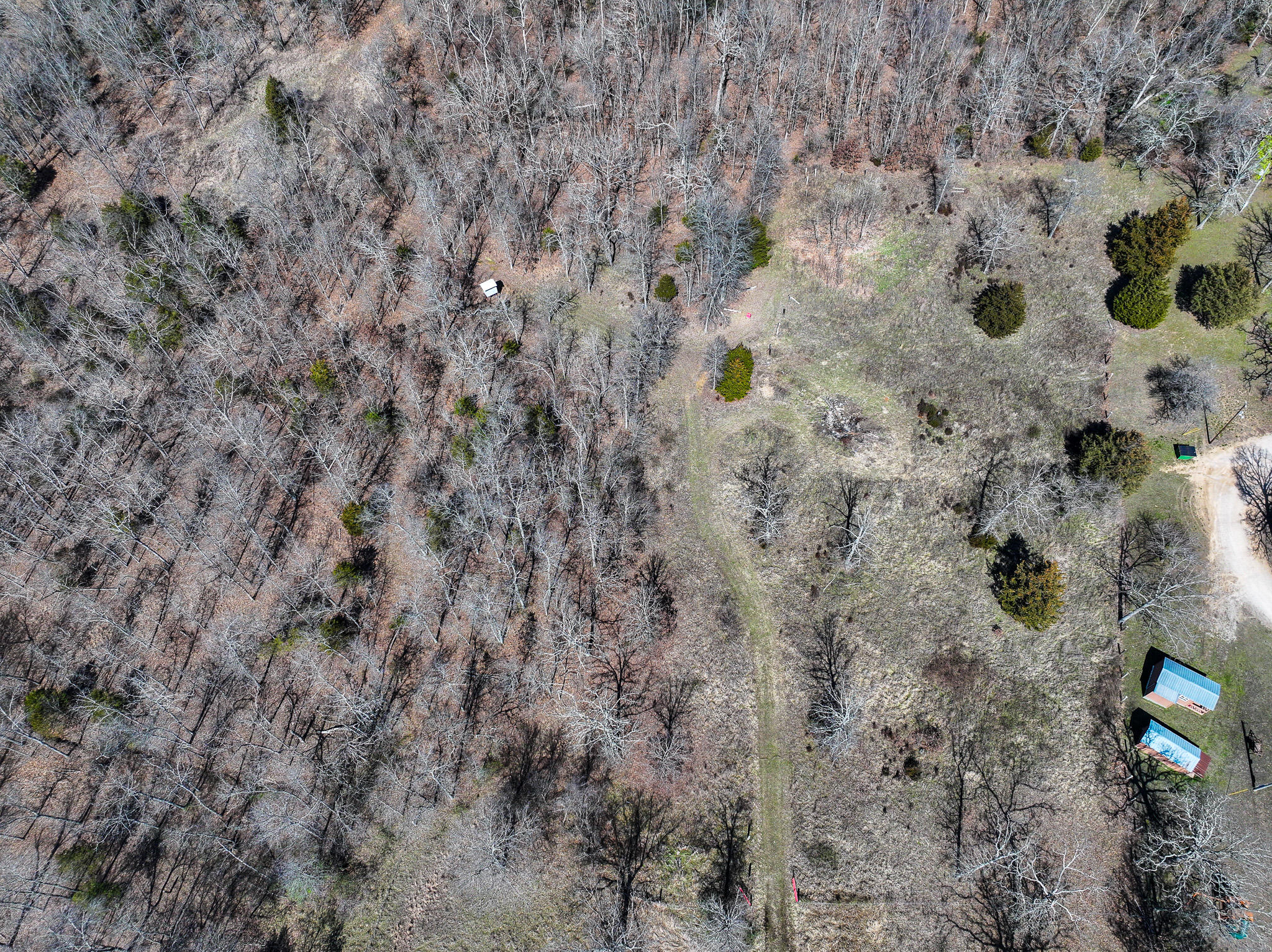 875 Southwest Highway 54 Property Photo 41
