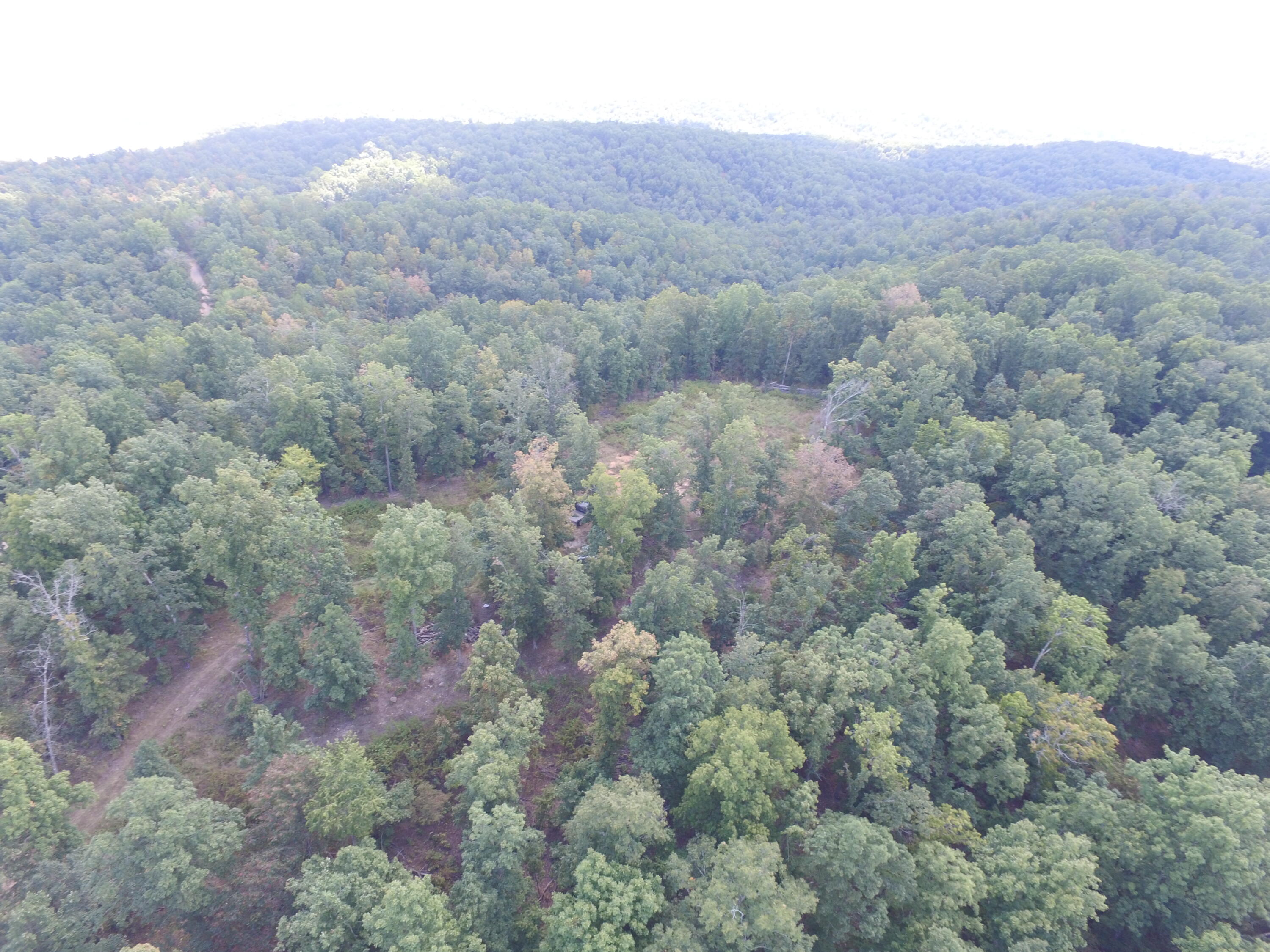 Tbd County Road 426 Property Photo 3