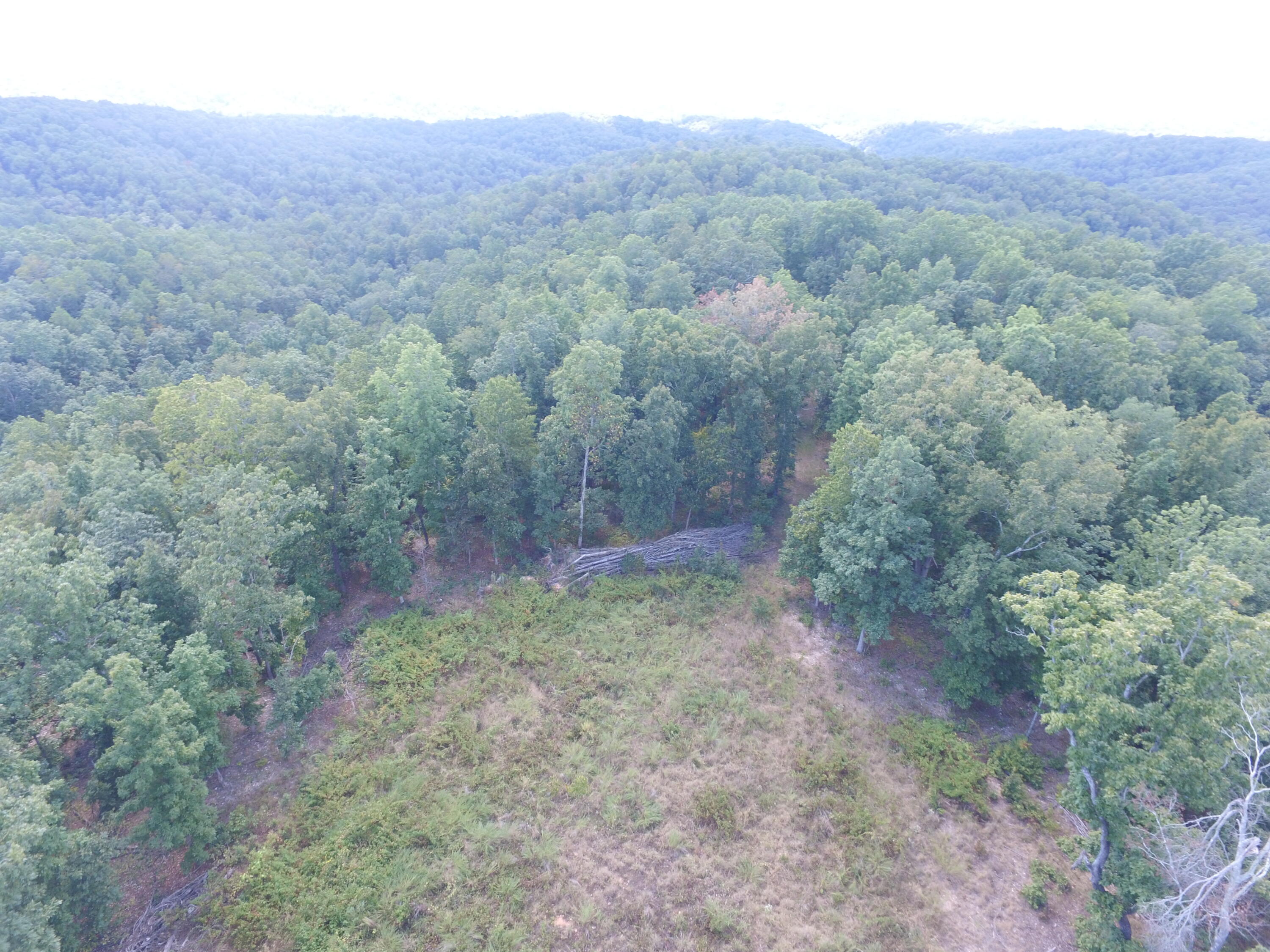 Tbd County Road 426 Property Photo 4