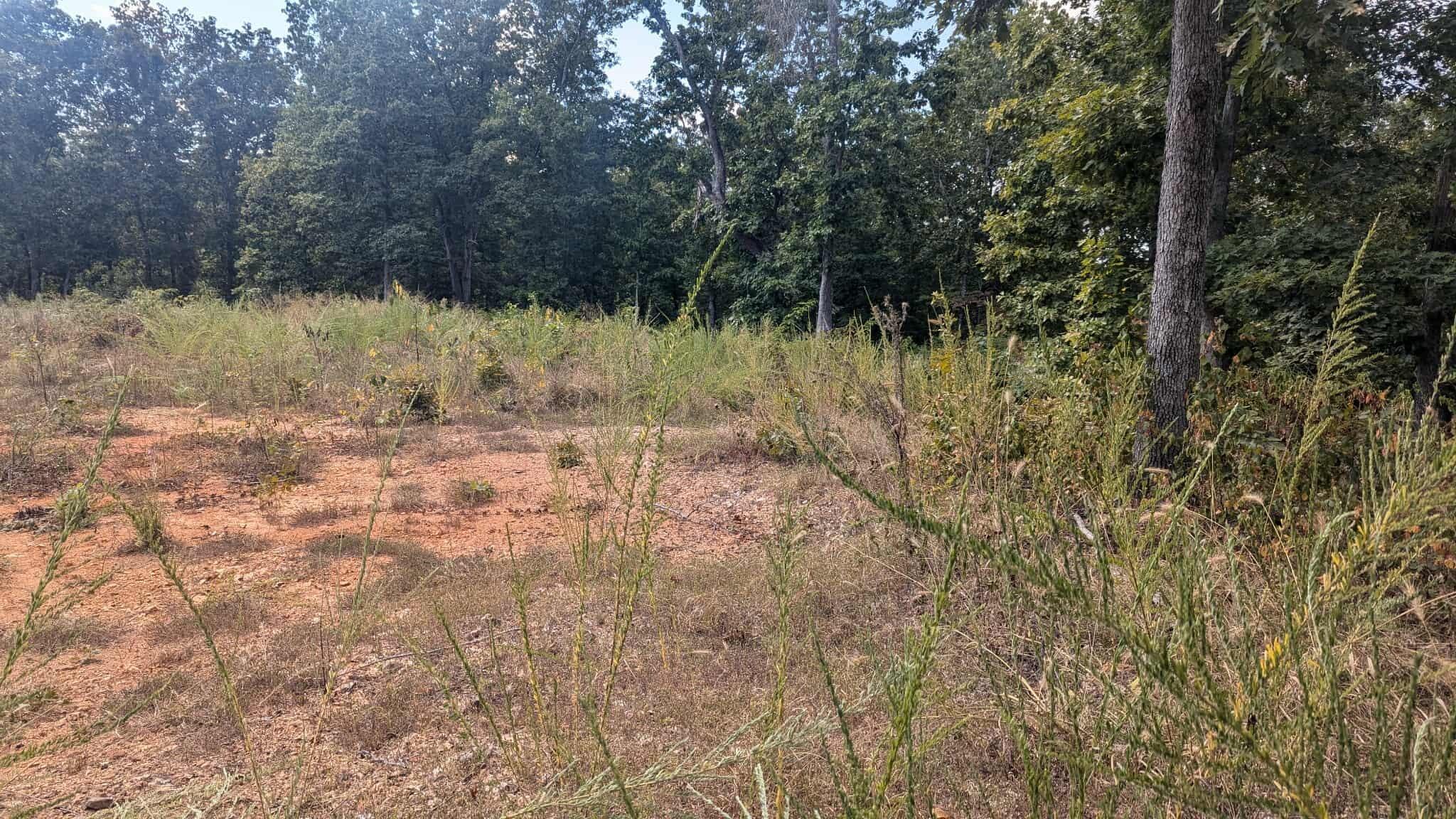 Tbd County Road 426 Property Photo 5