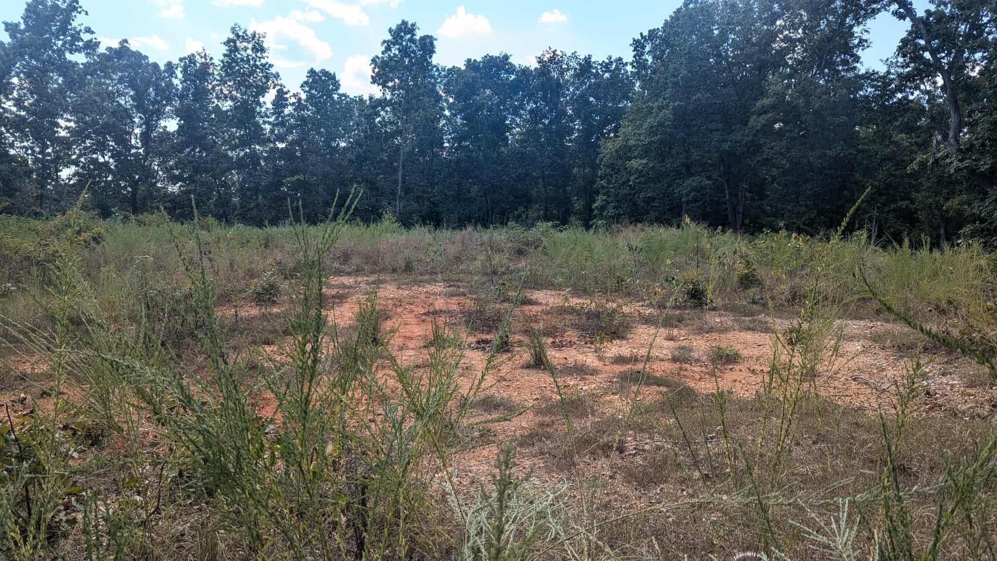 Tbd County Road 426 Property Photo 6