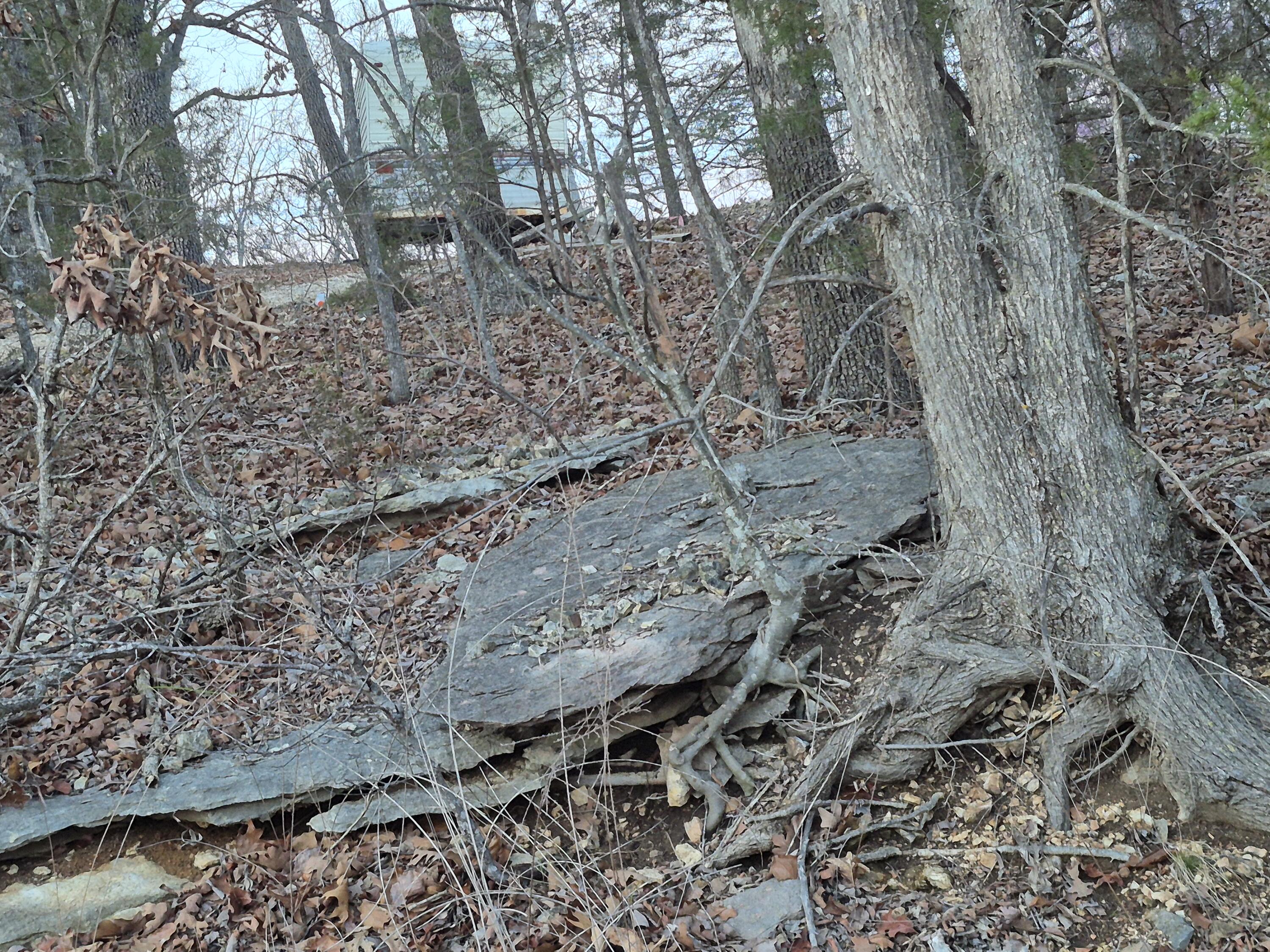 605 Shelton Drive Property Photo 2