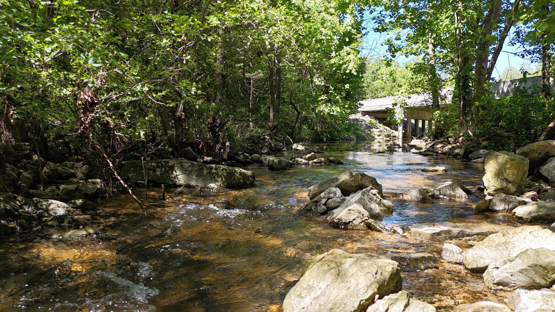 Tract 3a 1'st Street Property Photo 6