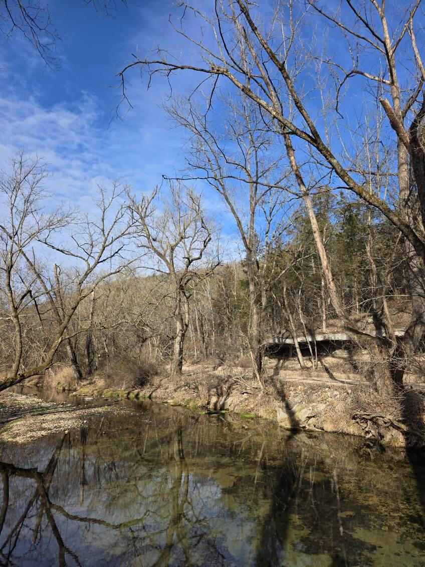 Tbd West Enon Road Property Photo 5