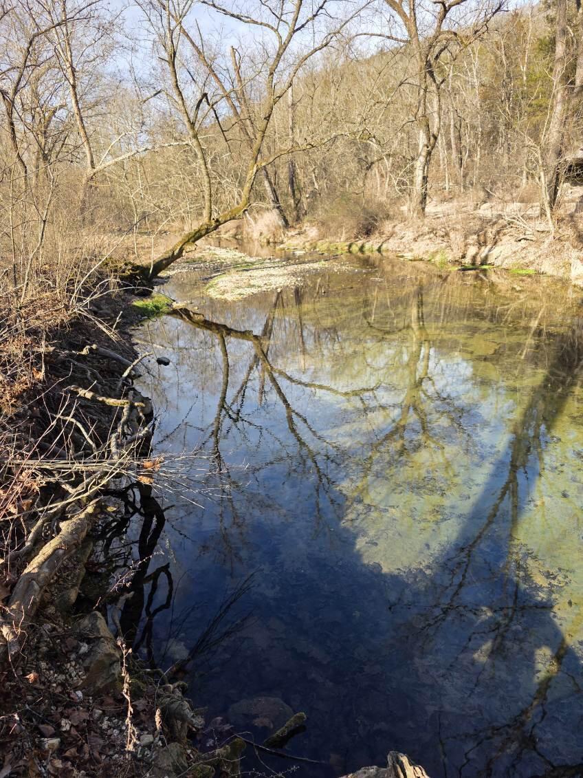 Tbd West Enon Road Property Photo 16