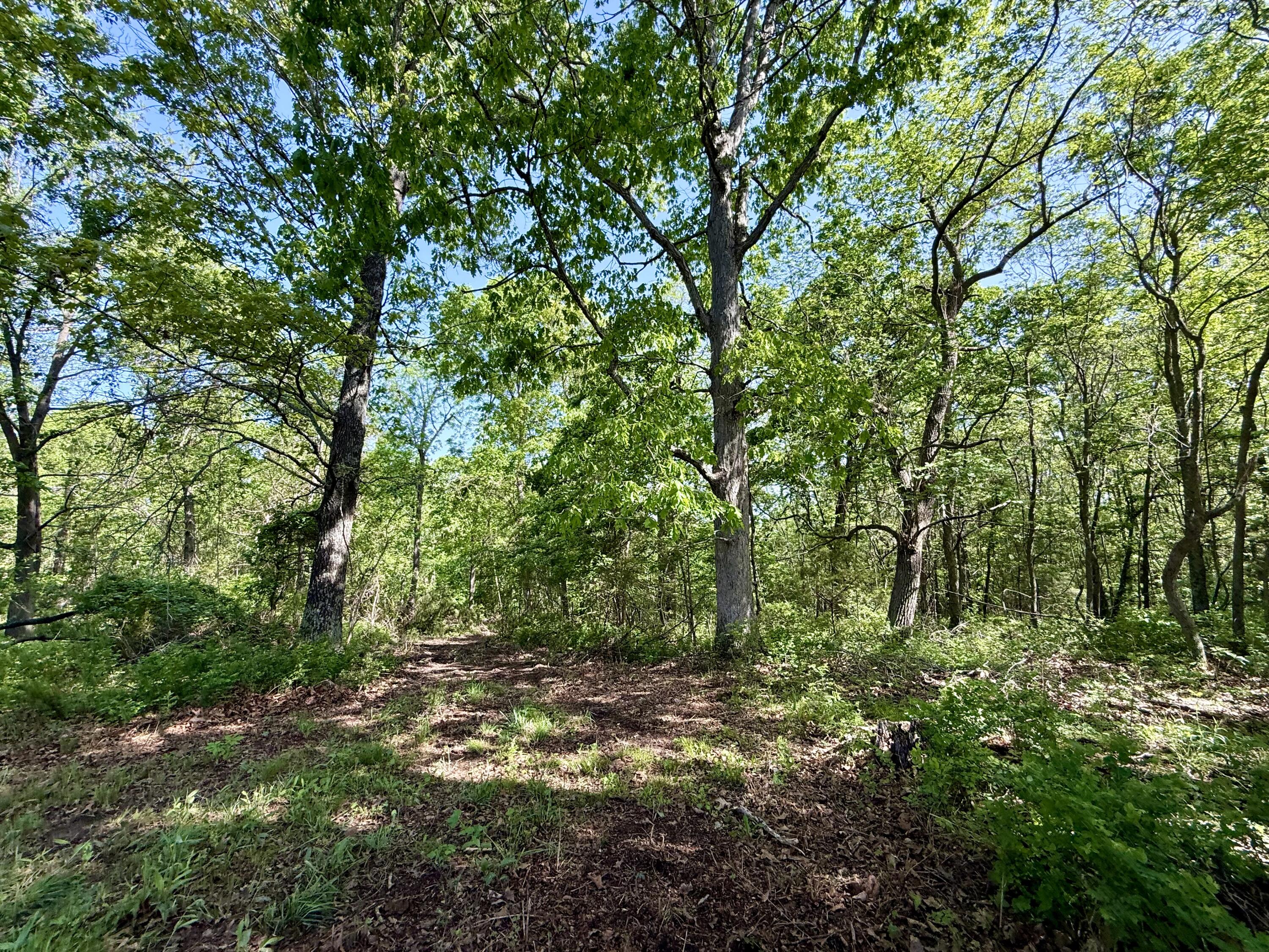 000 Highway M Tract F Property Photo 6