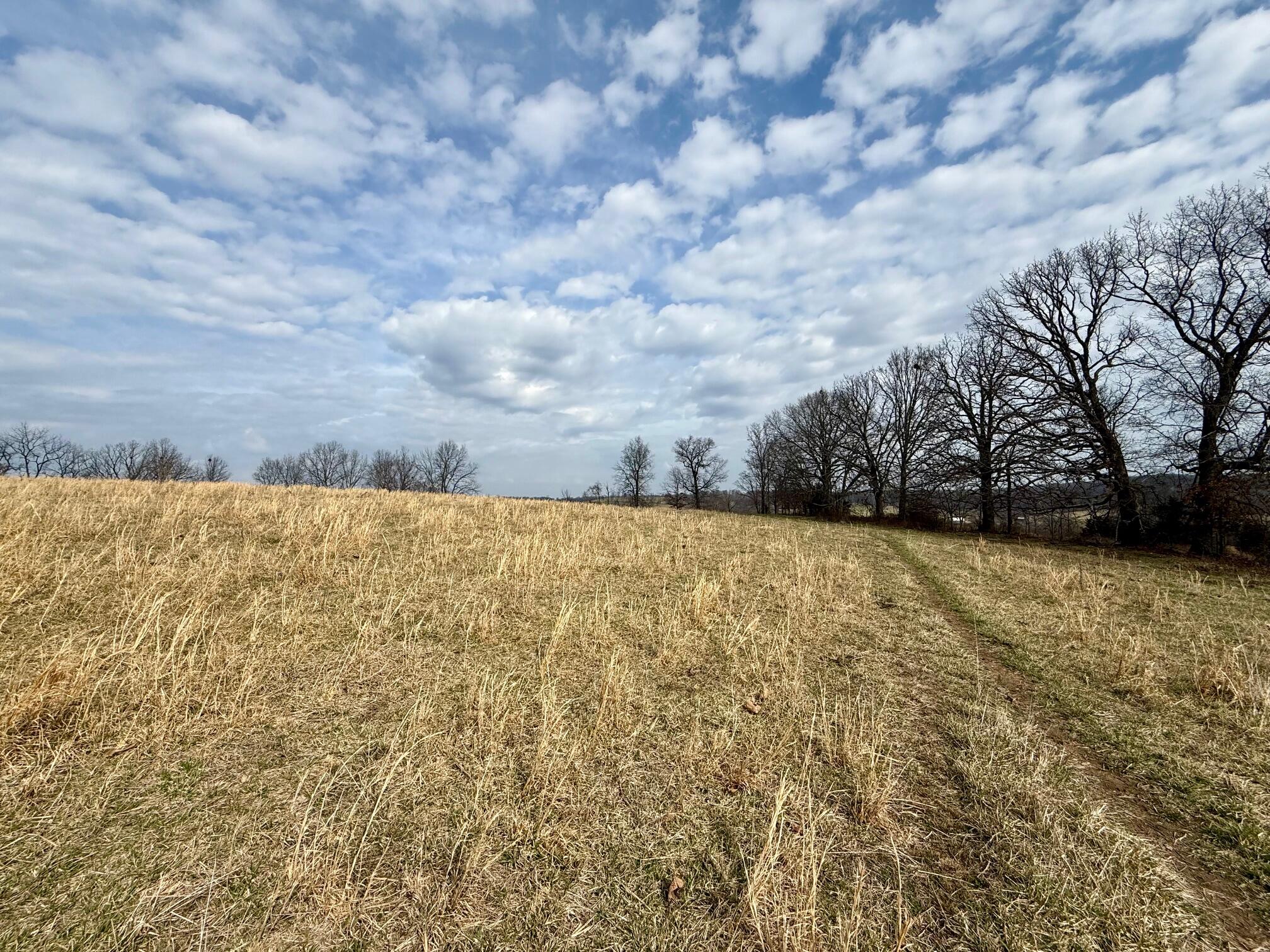 000 Barnum Drive Tract I Property Photo 6