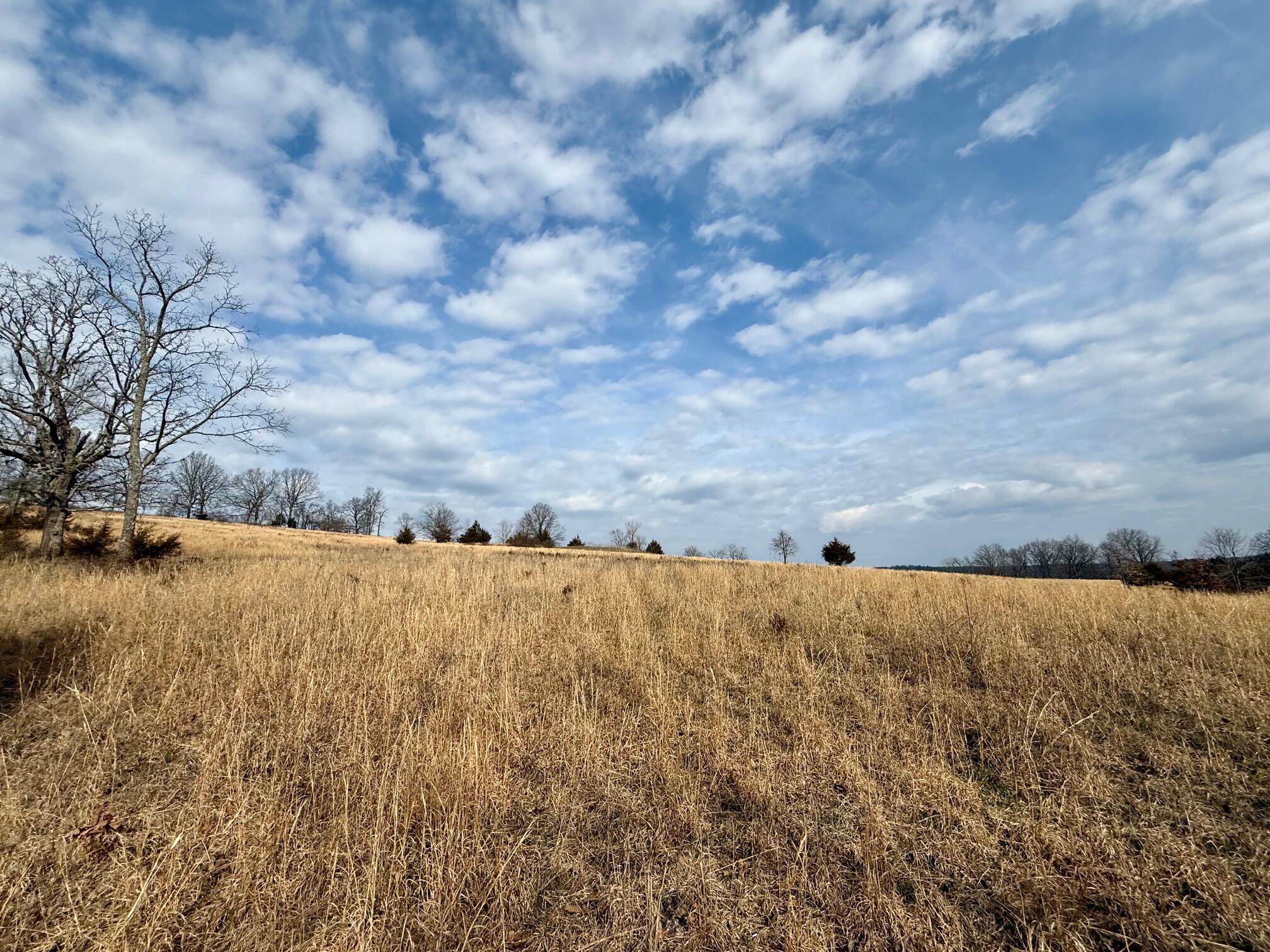 000 Barnum Drive Tract I Property Photo 8