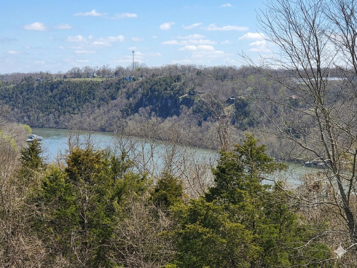 1367 Mountain Grove Road Property Photo 3