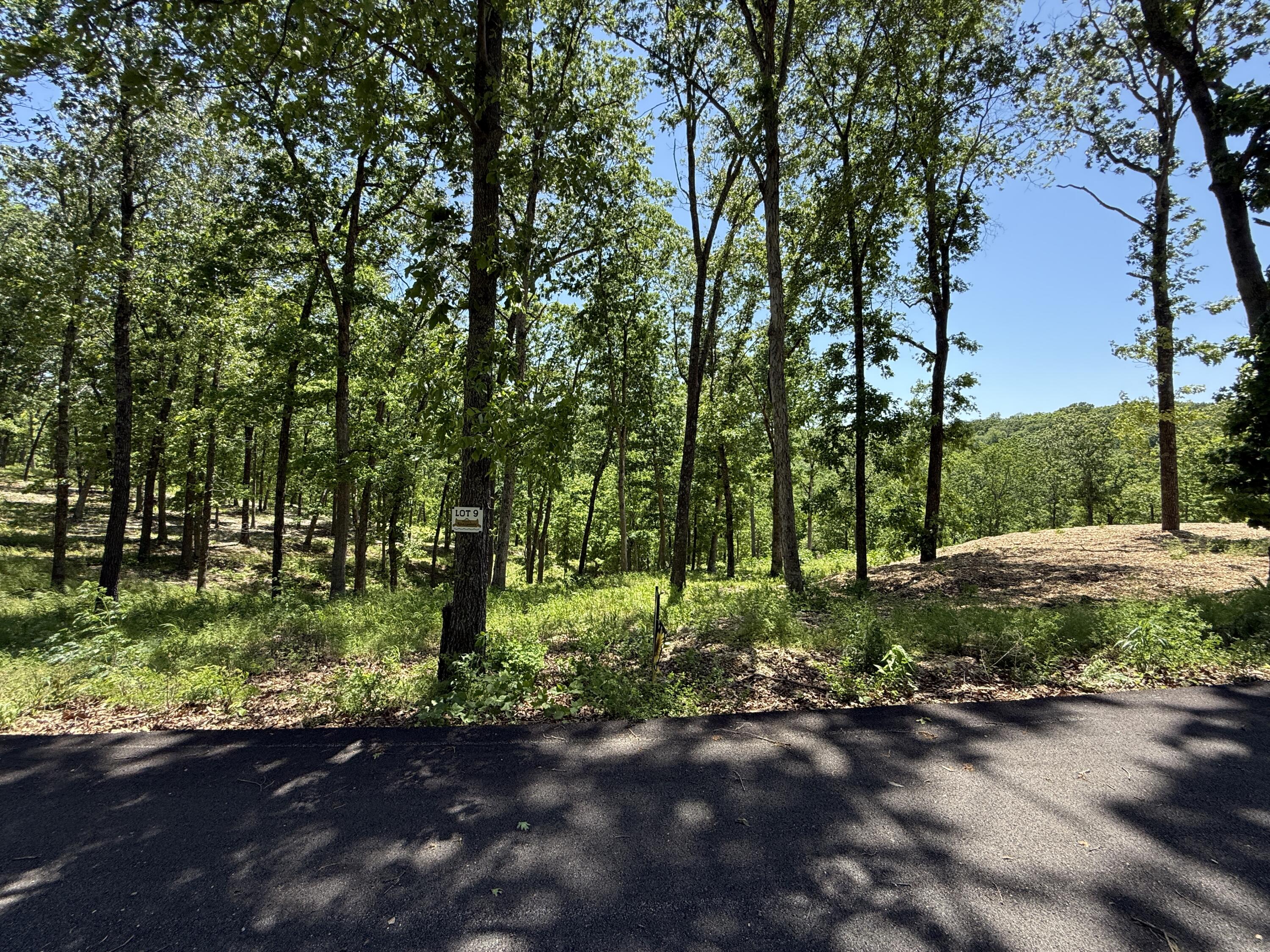 Lot 9 Riverpointe View Property Photo 2
