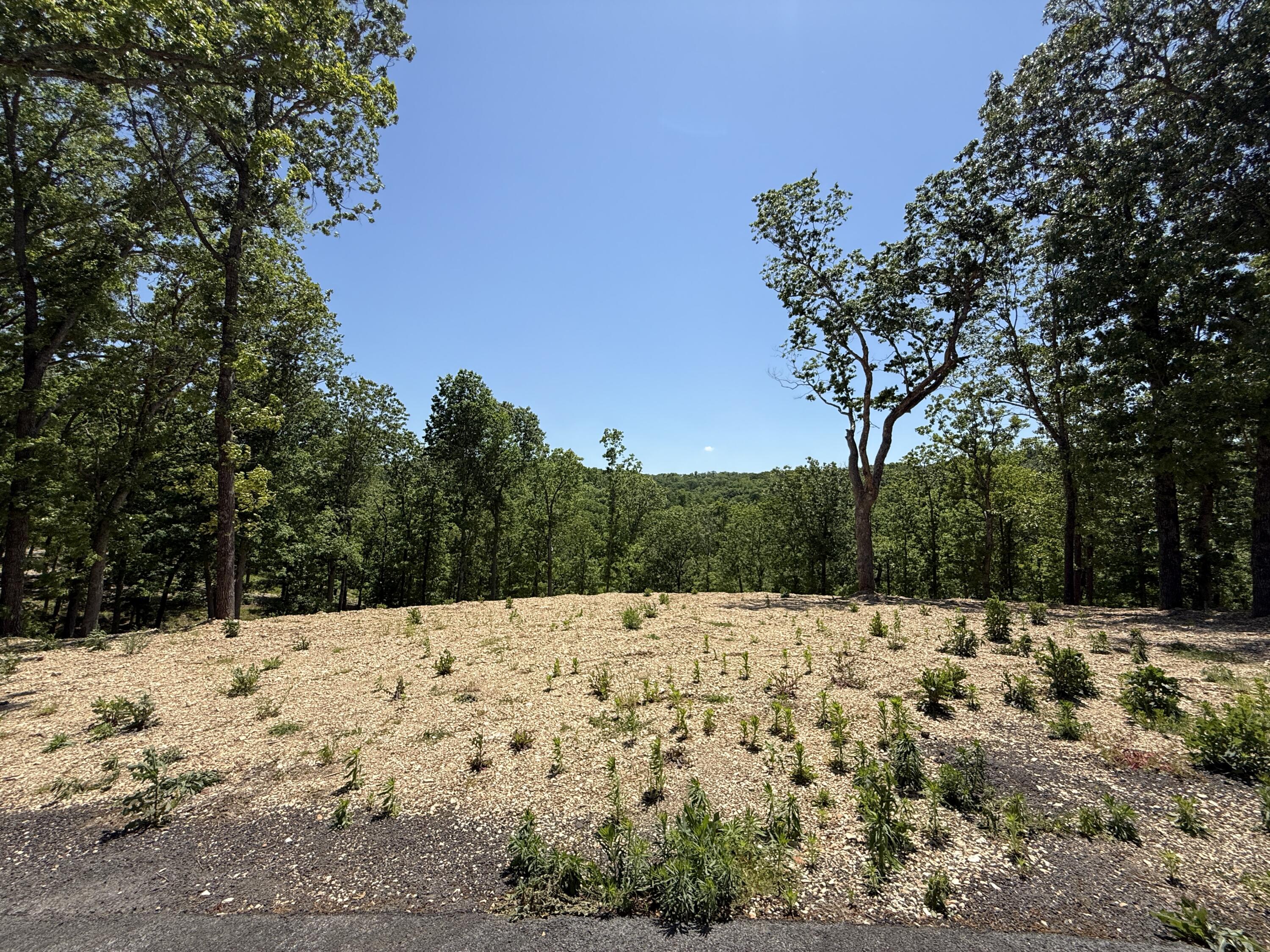 Lot 9 Riverpointe View Property Photo 3