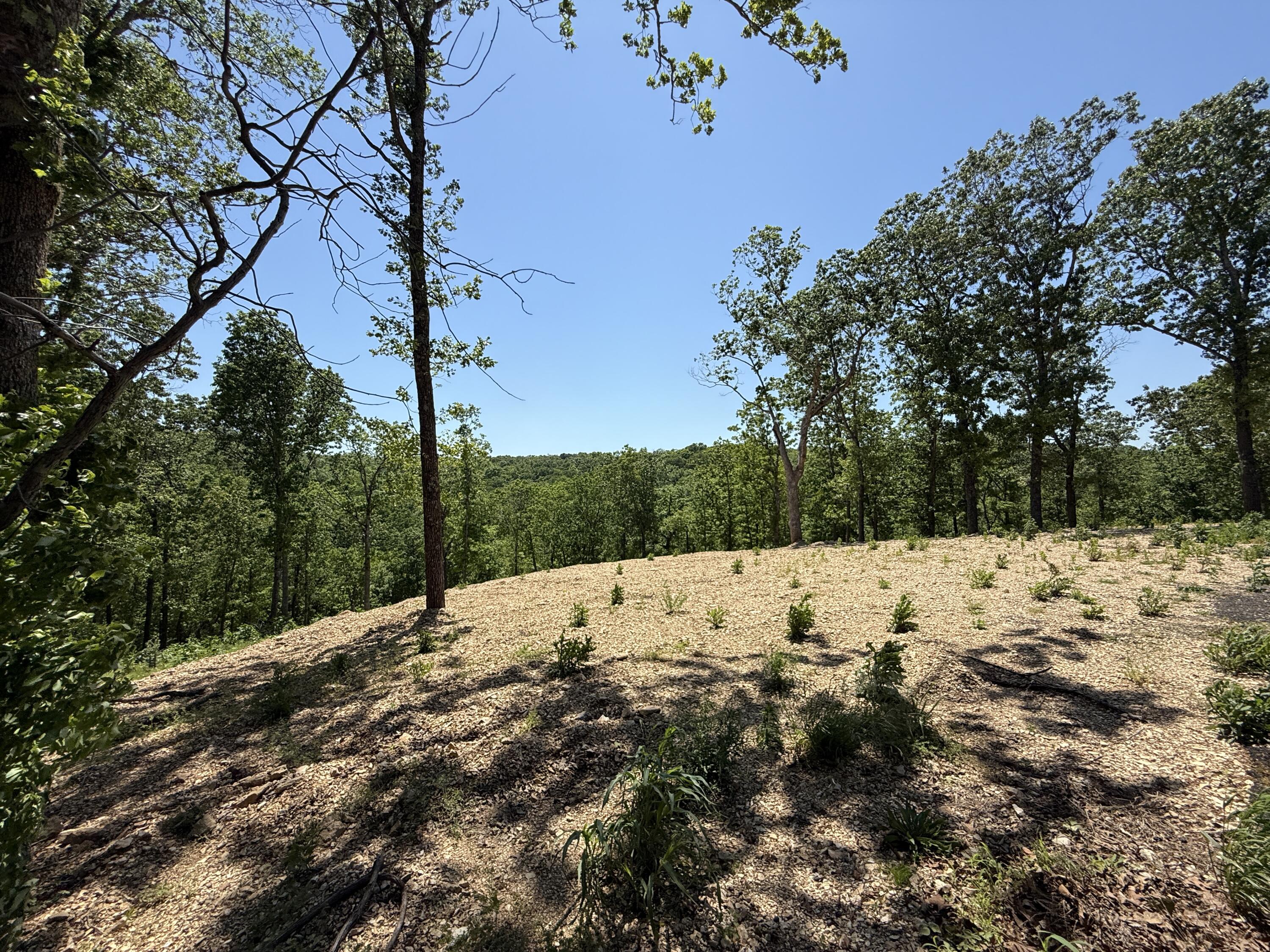 Lot 9 Riverpointe View Property Photo 4