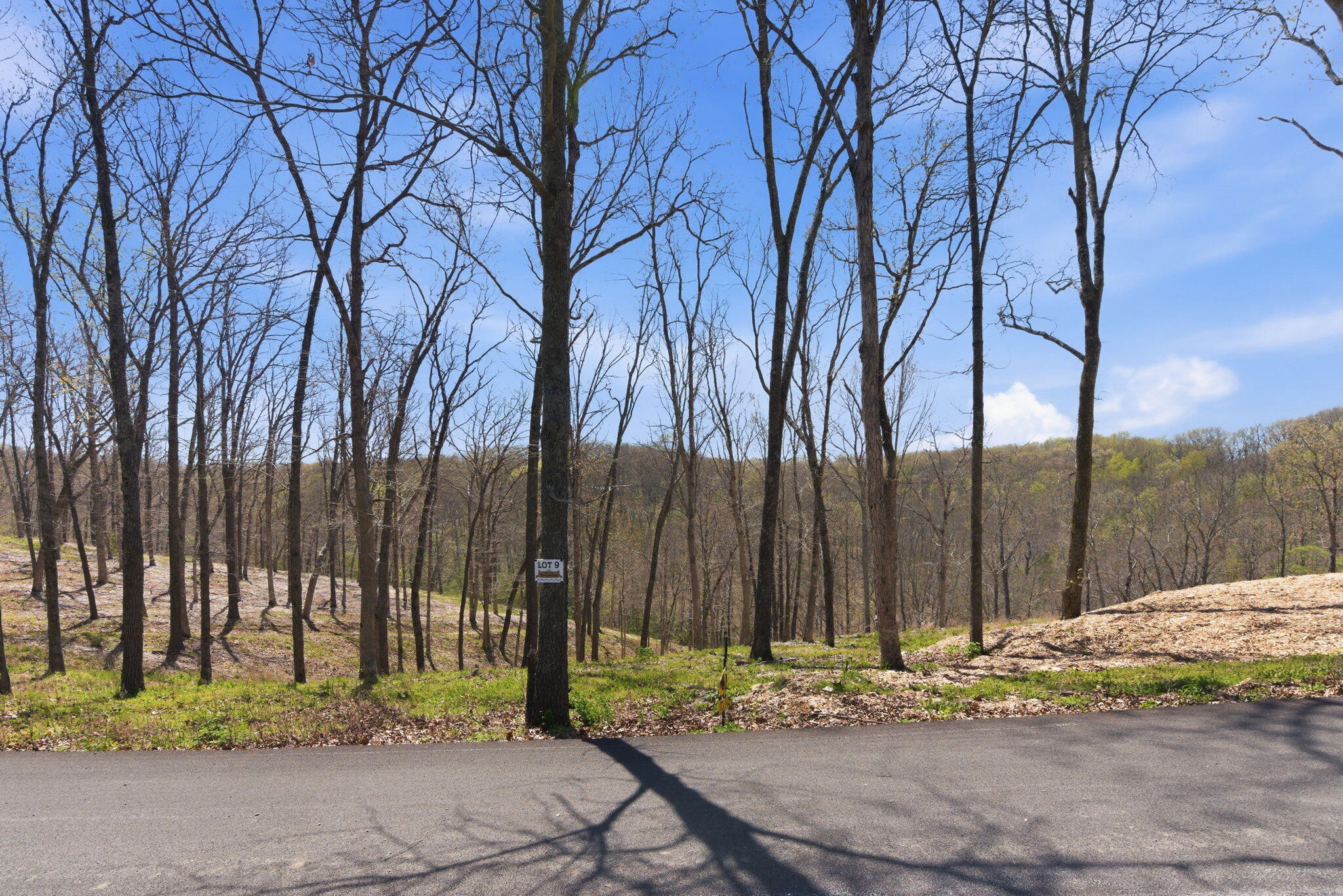 Lot 9 Riverpointe View Property Photo 6
