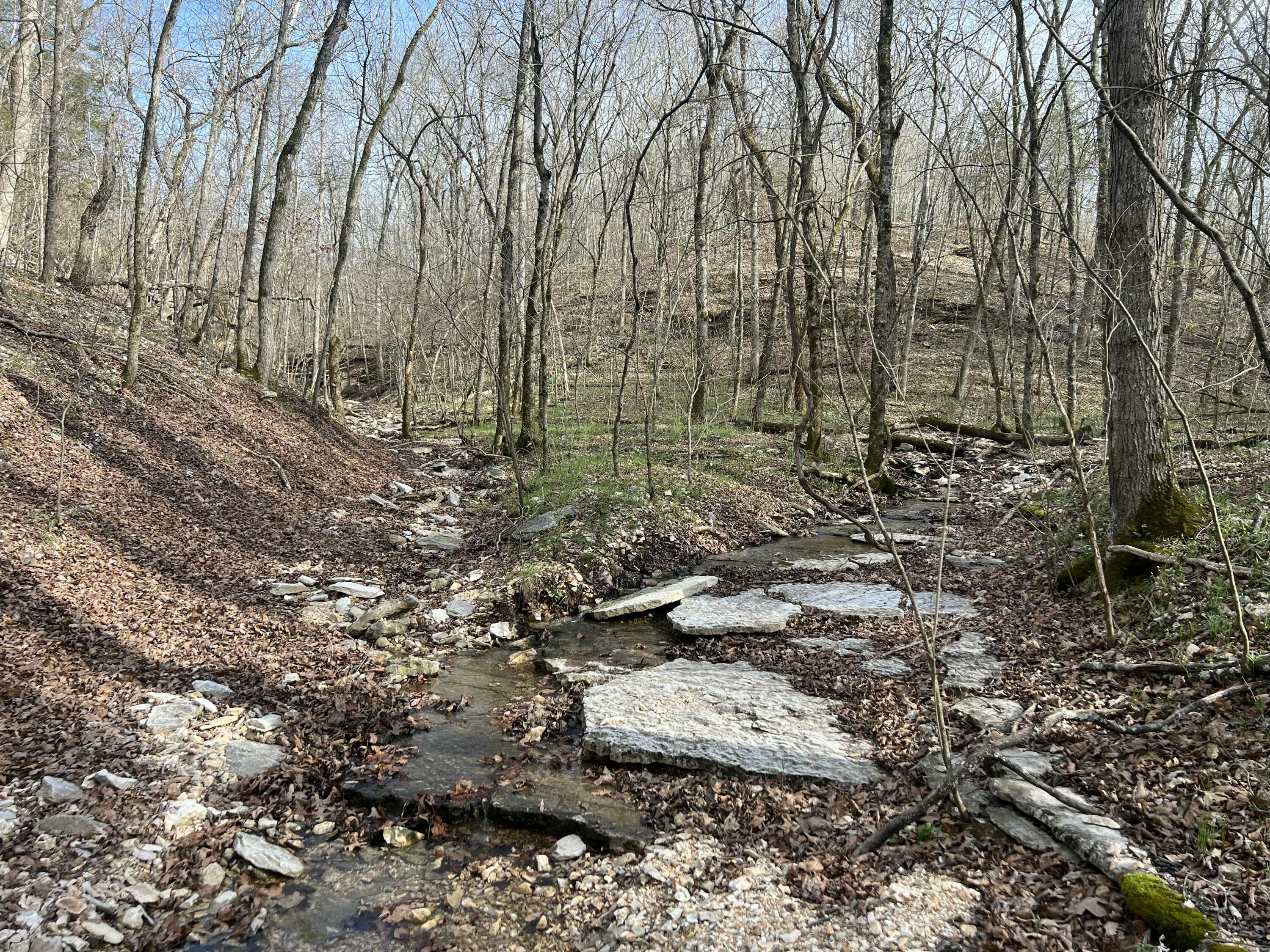 Lot 9 Riverpointe View Property Photo 15