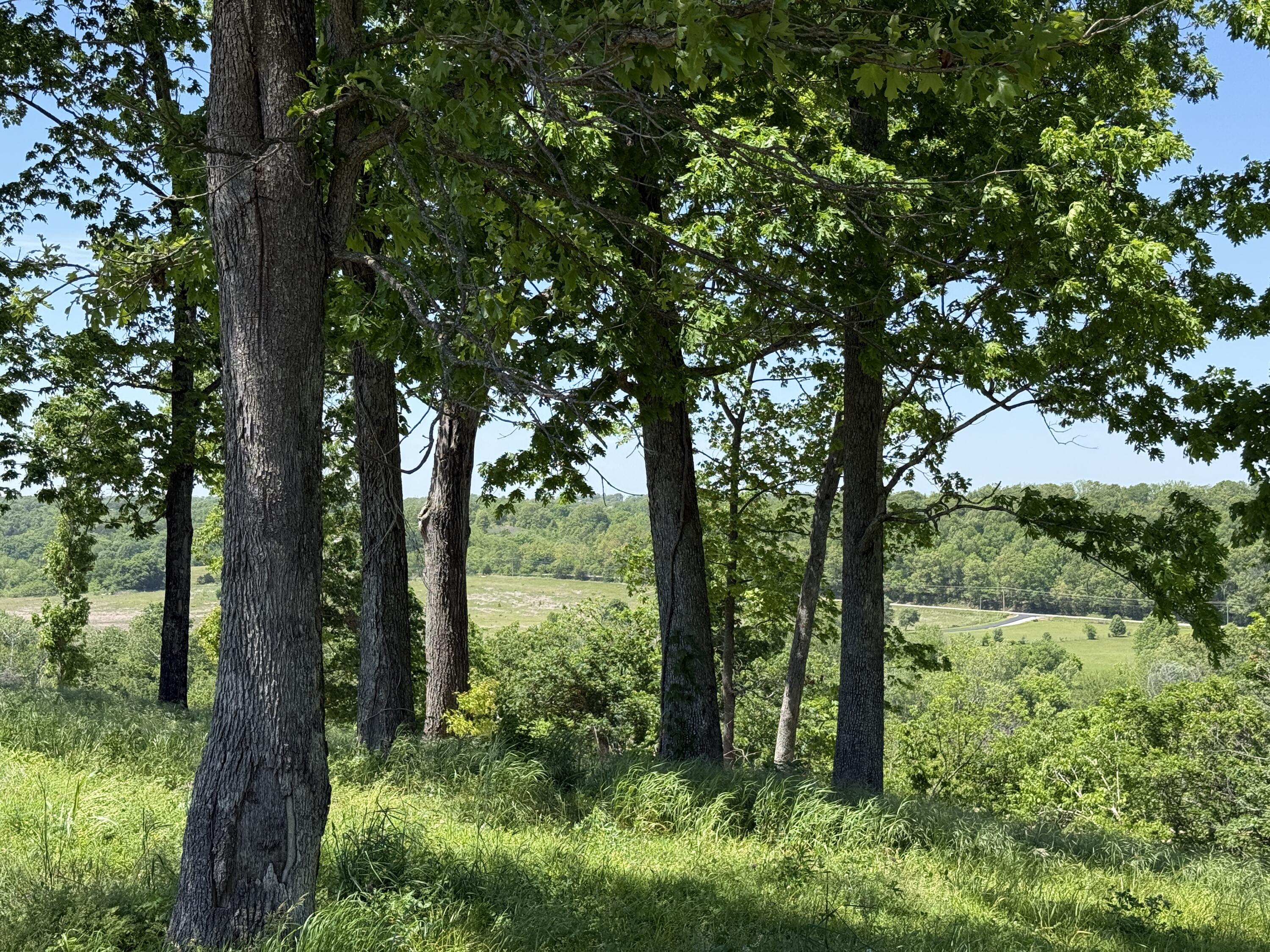 Lot 14a Riverpointe View Property Photo 5