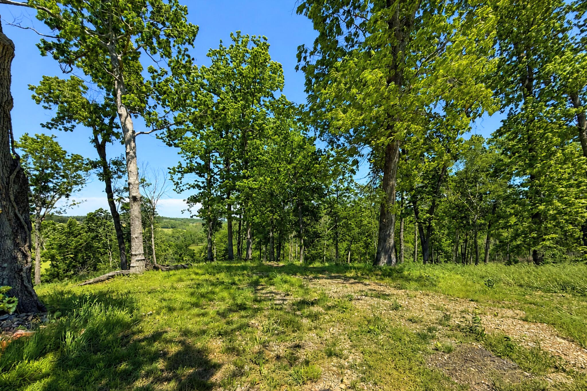 Lot 14a Riverpointe View Property Photo 14