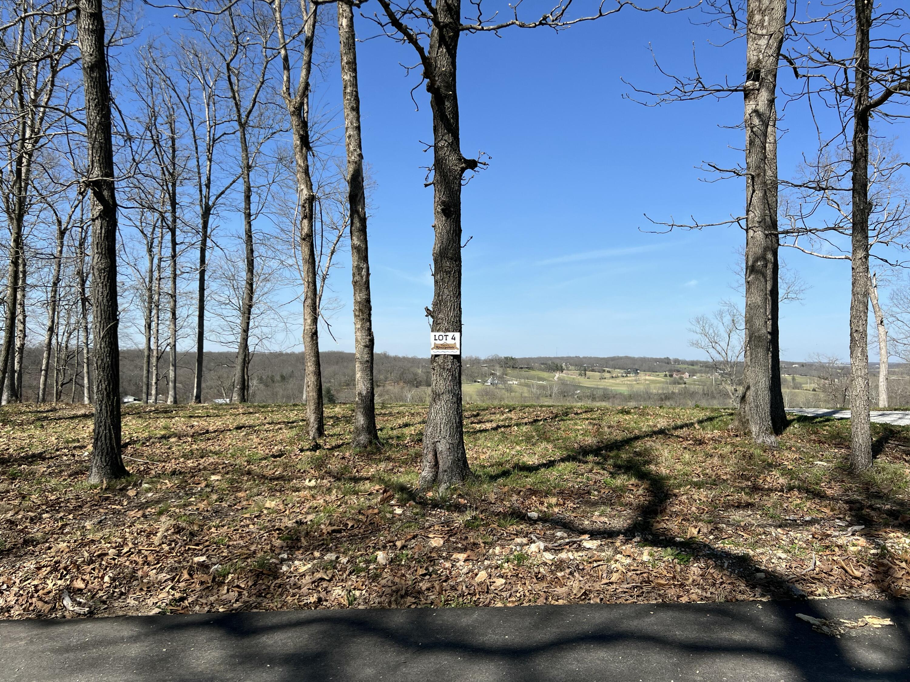 Lot 4 Riverpointe View Property Photo 15