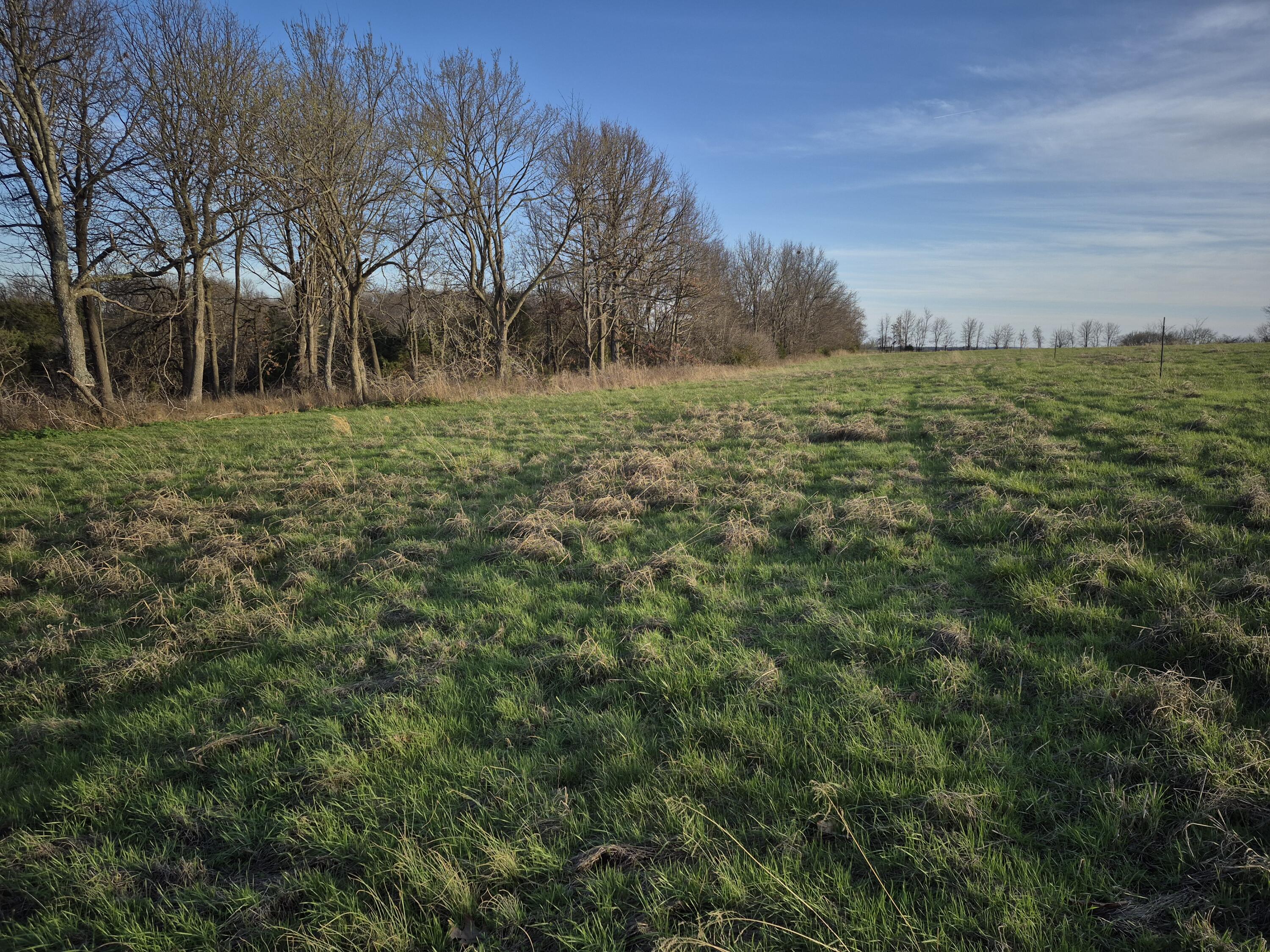 000 South Farm Road 11 Property Photo 6