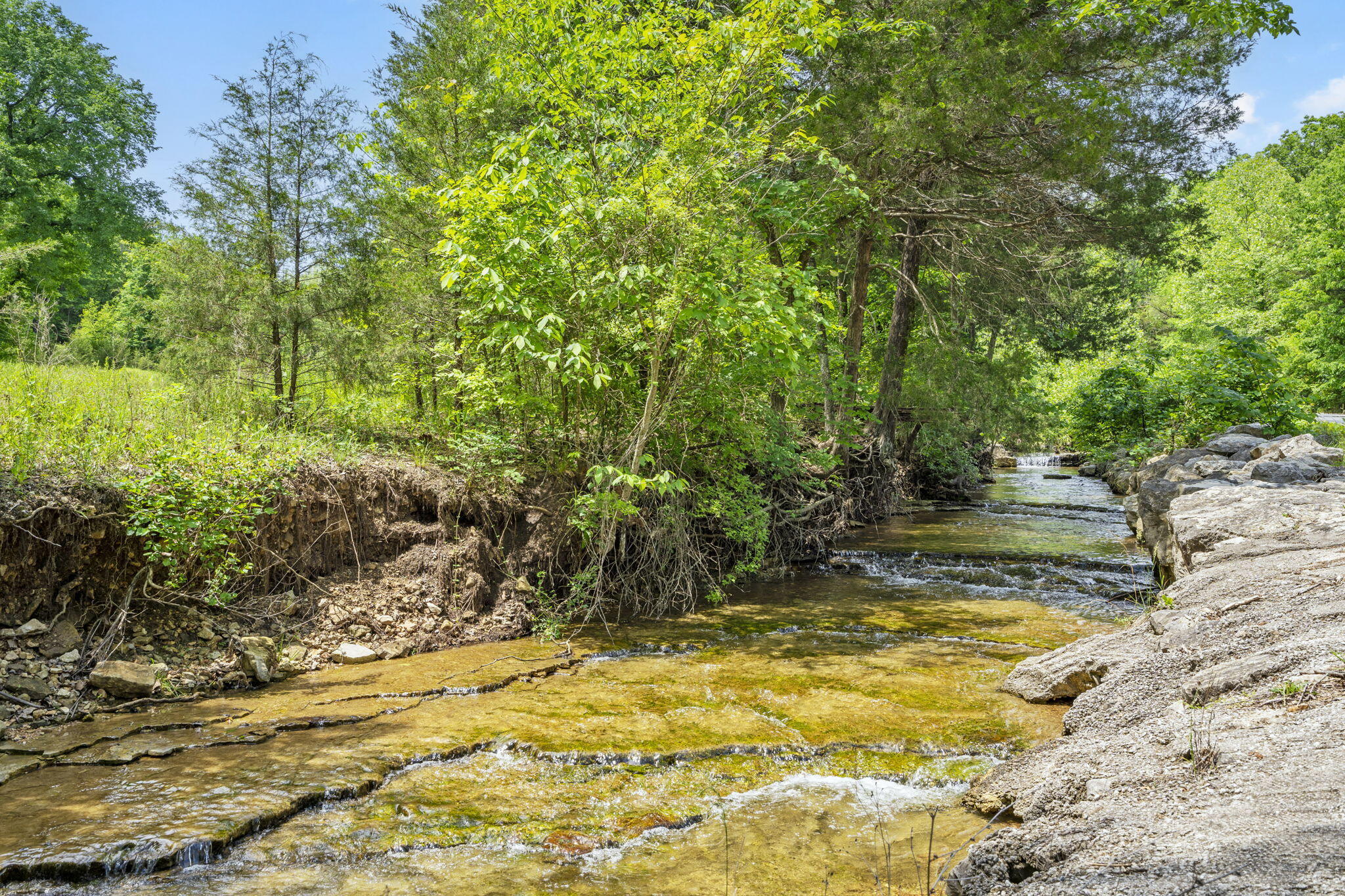 109 Cedar Bluff Property Photo 73