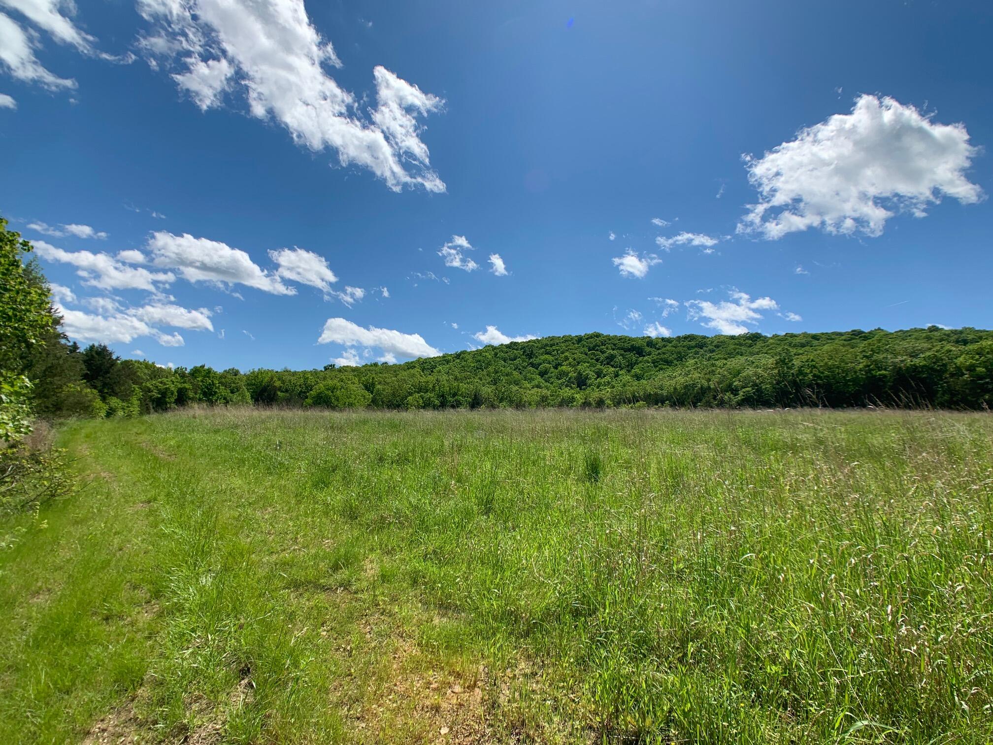 000 Farm Road 1280 Property Photo 6