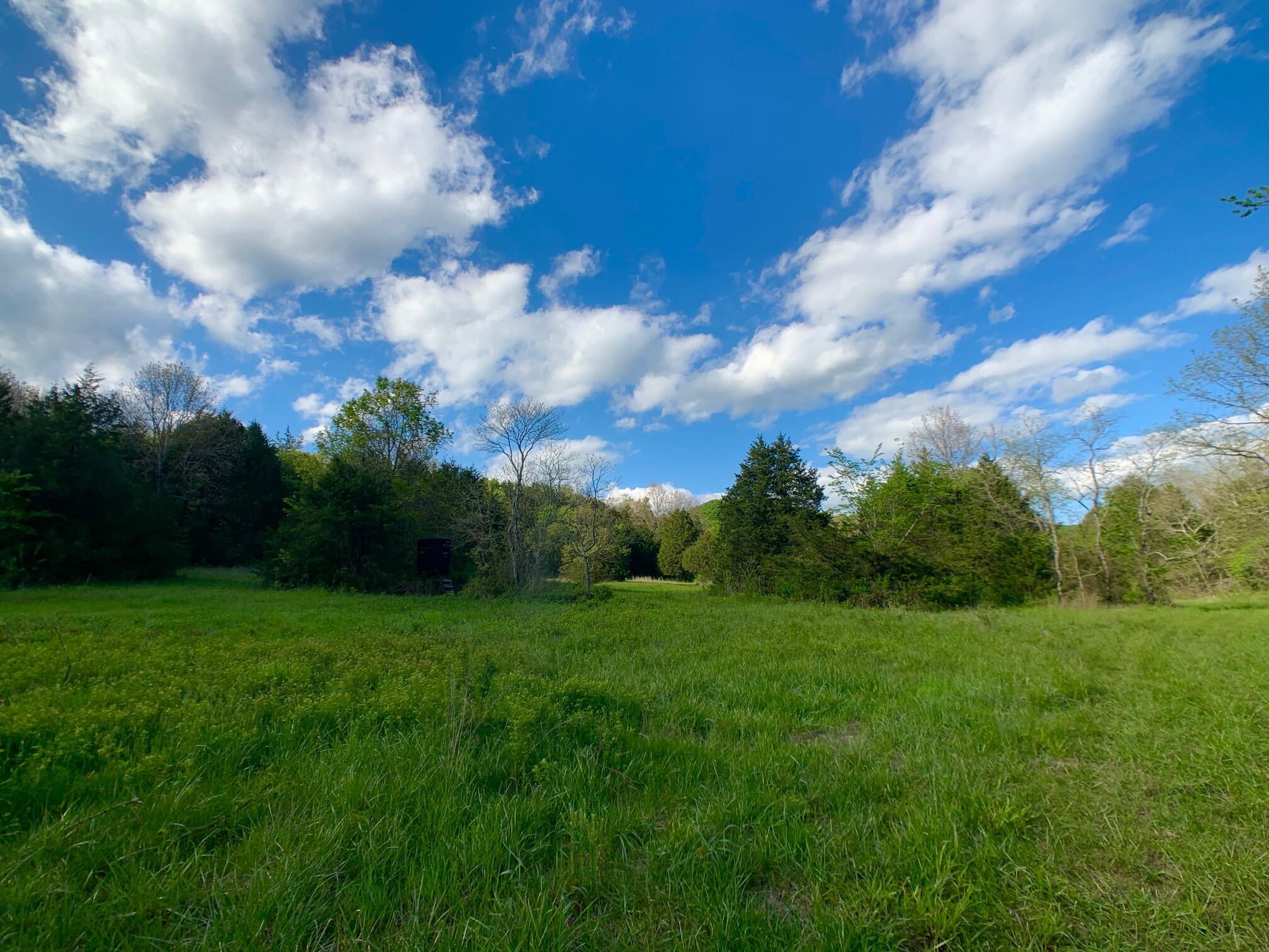 000 Farm Road 1280 Property Photo 46