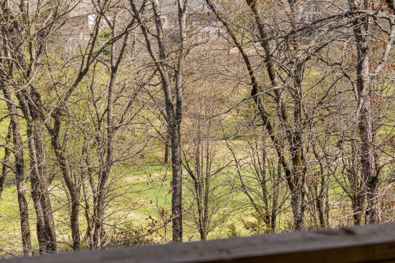 1209 Ledgestone Circle Property Photo 47