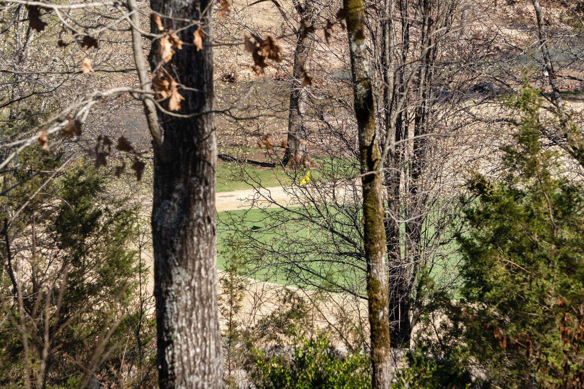 1209 Ledgestone Circle Property Photo 48