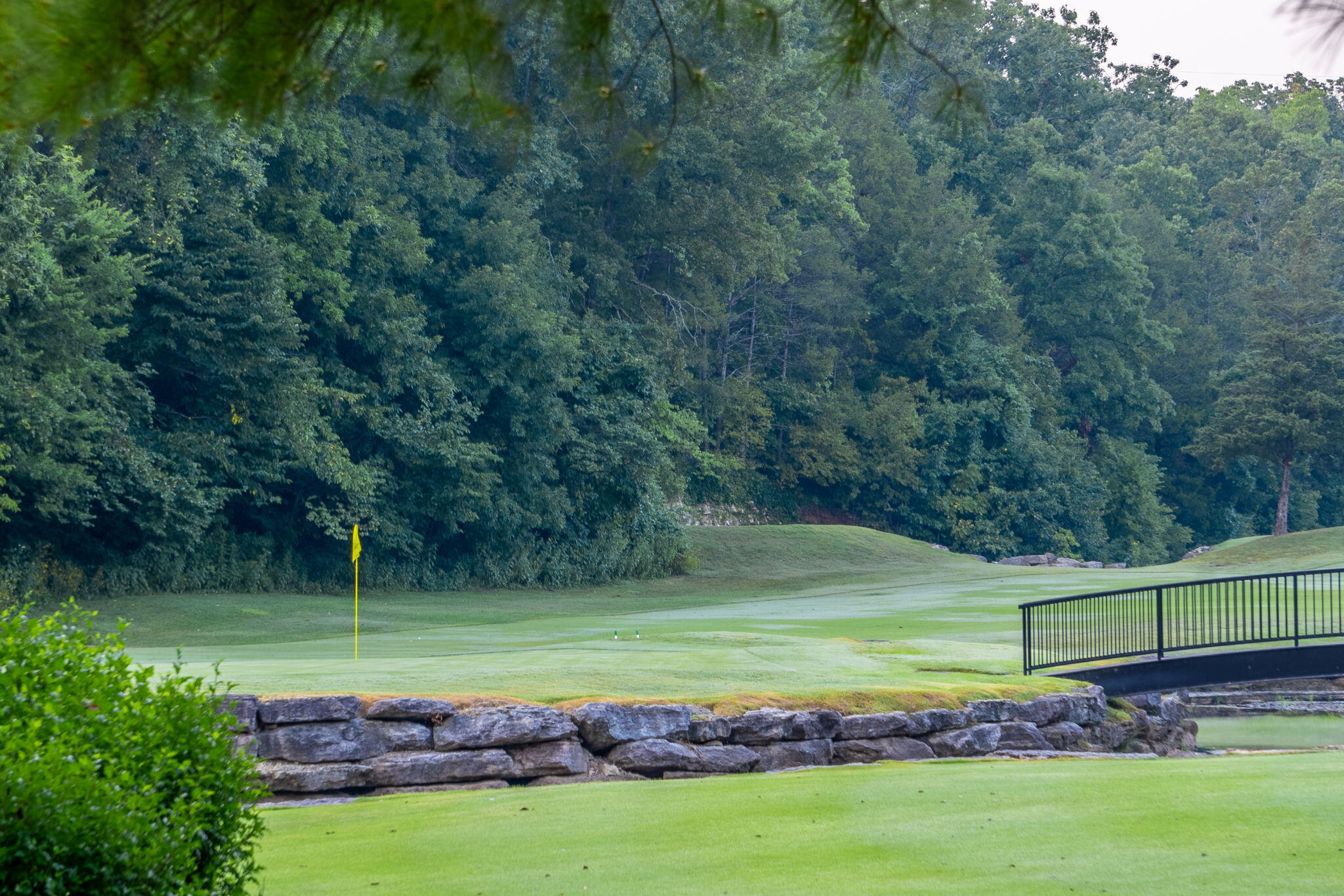 1209 Ledgestone Circle Property Photo 82