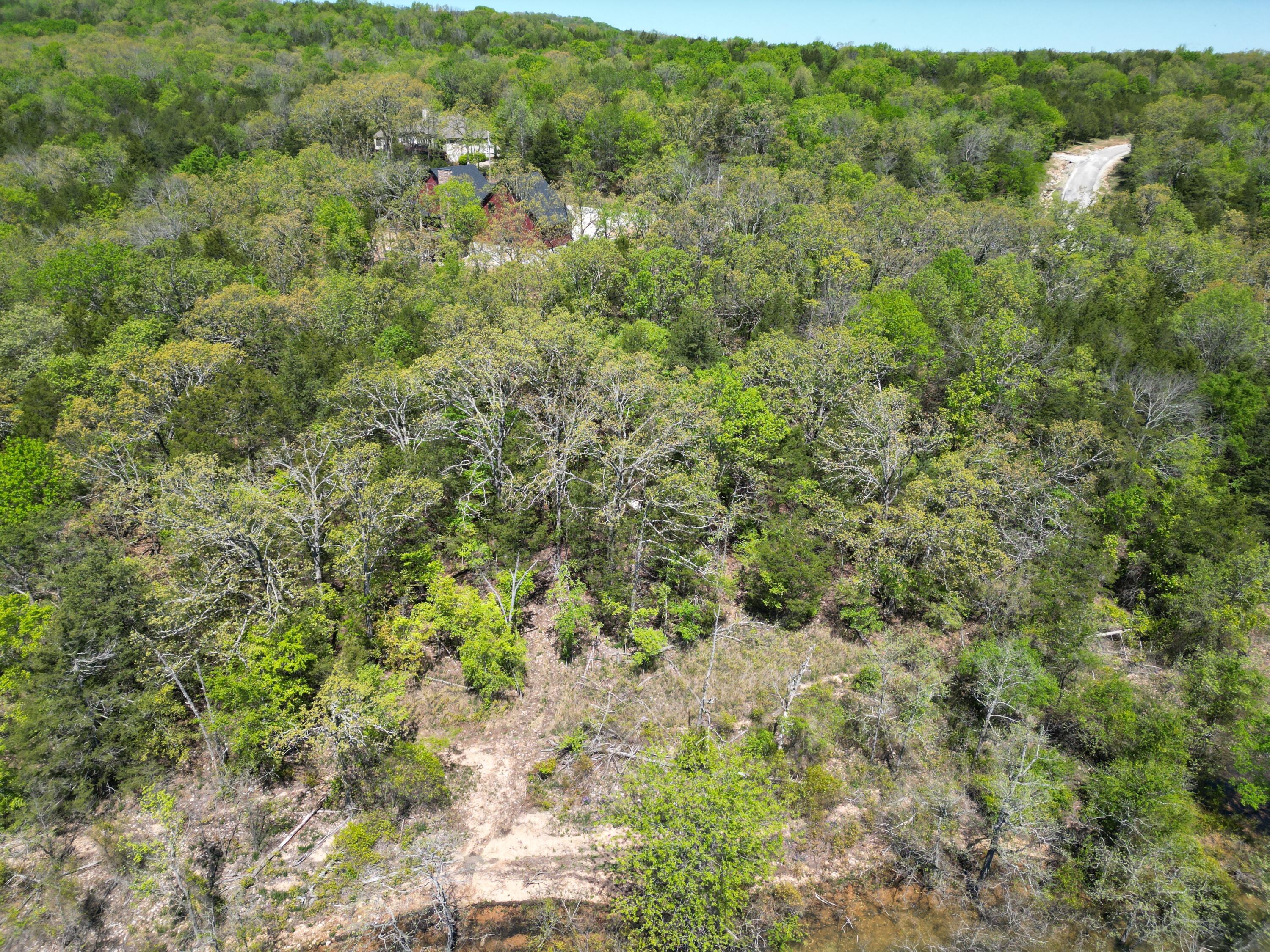 Lot 16 Eagles Bluff Property Photo 8