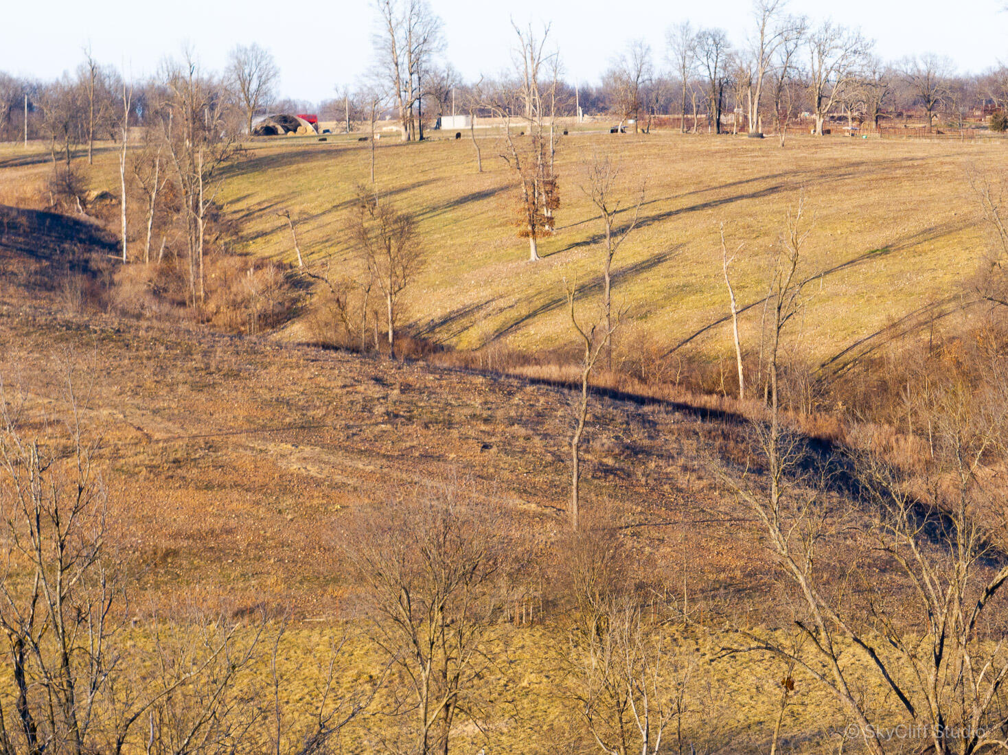 510 Duffield Road Property Photo 29