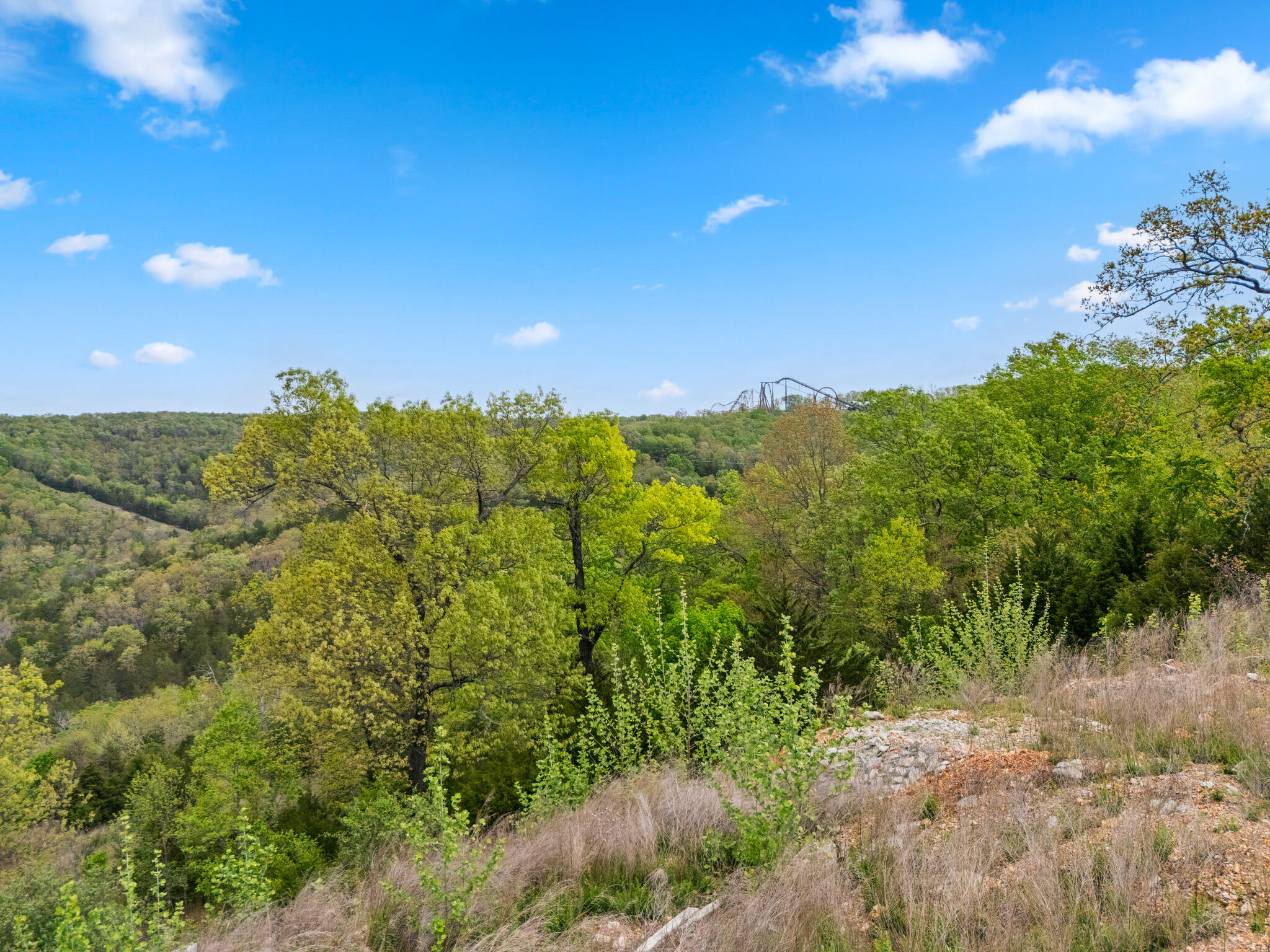 39 Songbird Circle Property Photo 46