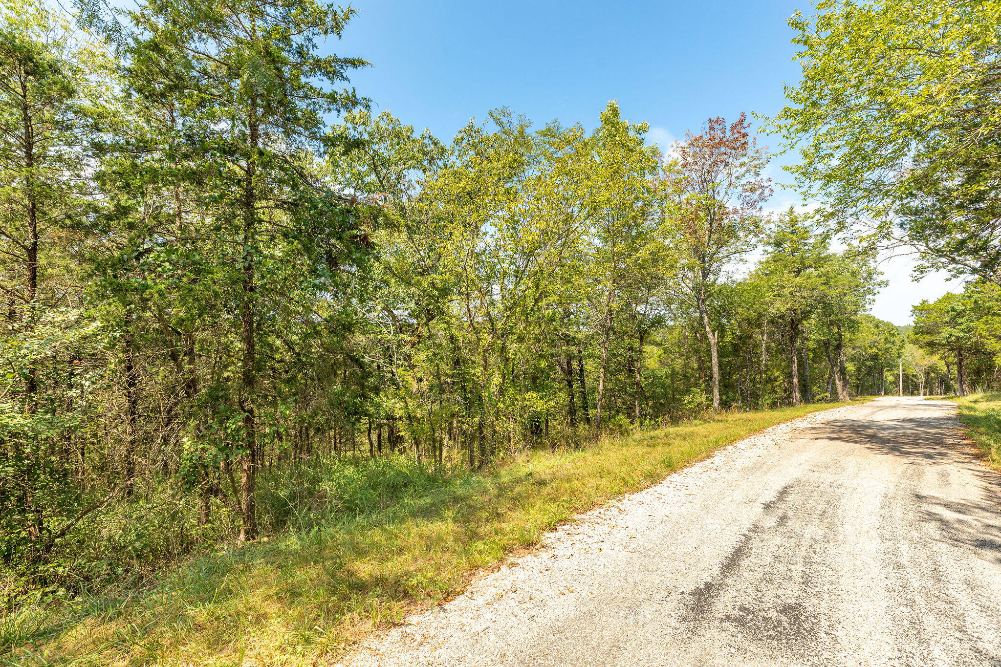 Lot 4 Savage Road Property Photo 4