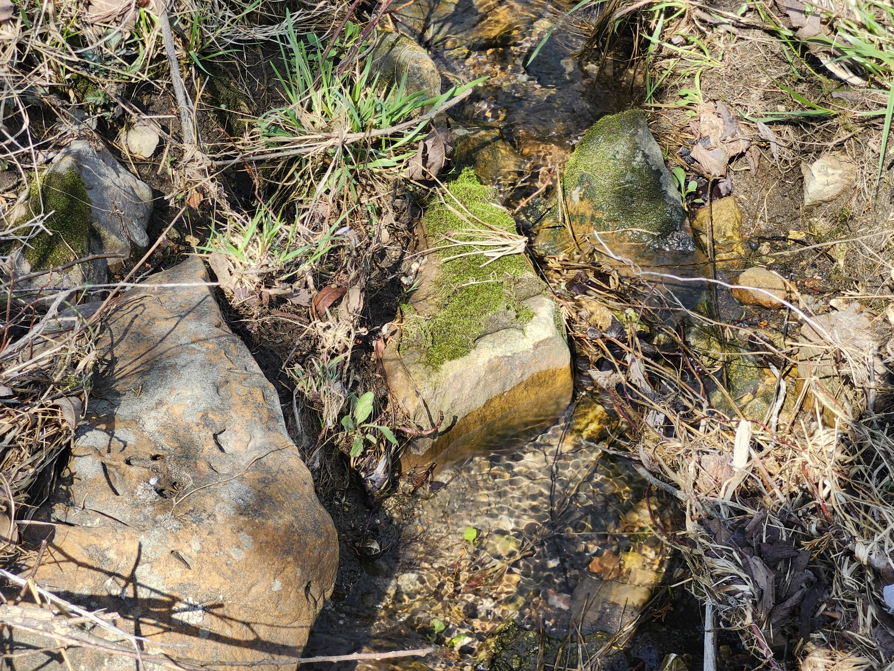 Tbd Huggins Road Property Photo 3
