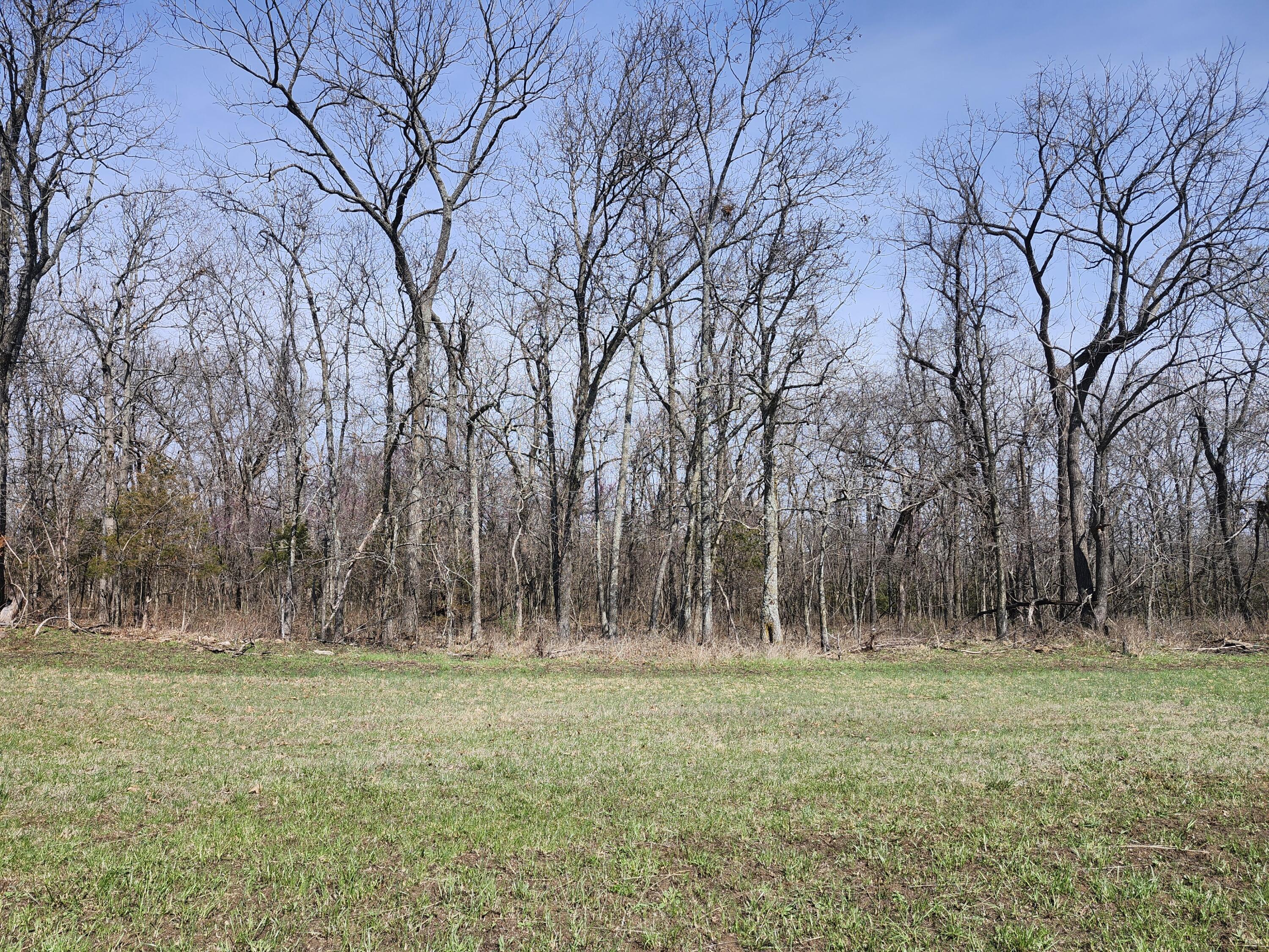 Tbd Huggins Road Property Photo 2