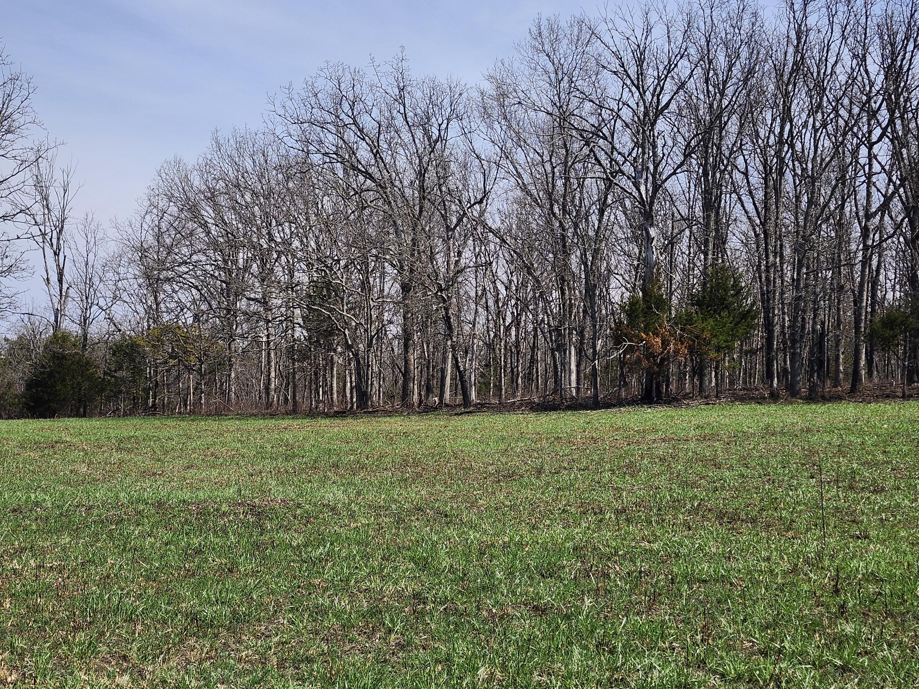 Tbd Huggins Road Property Photo 1