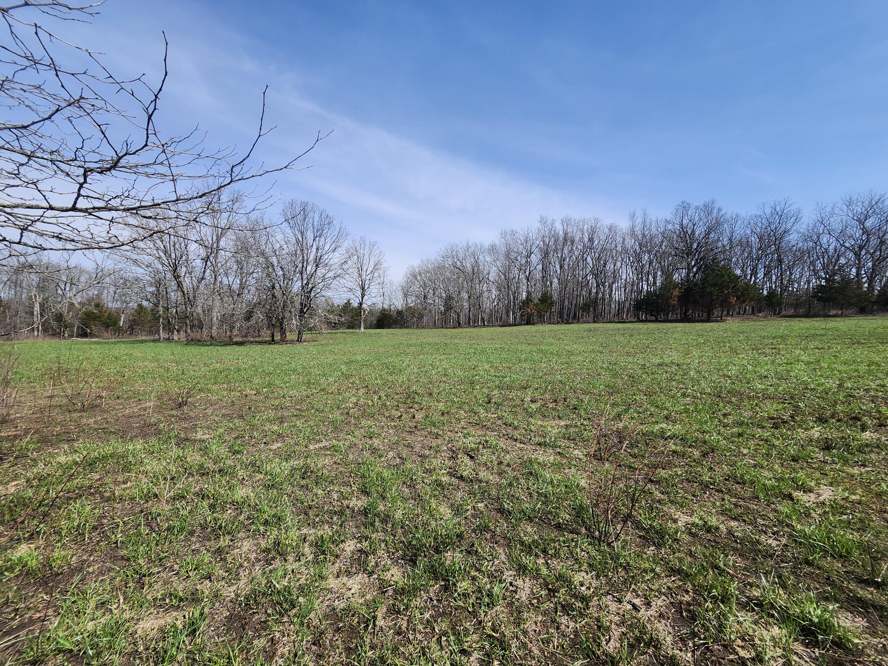 Tbd Huggins Road Property Photo 5