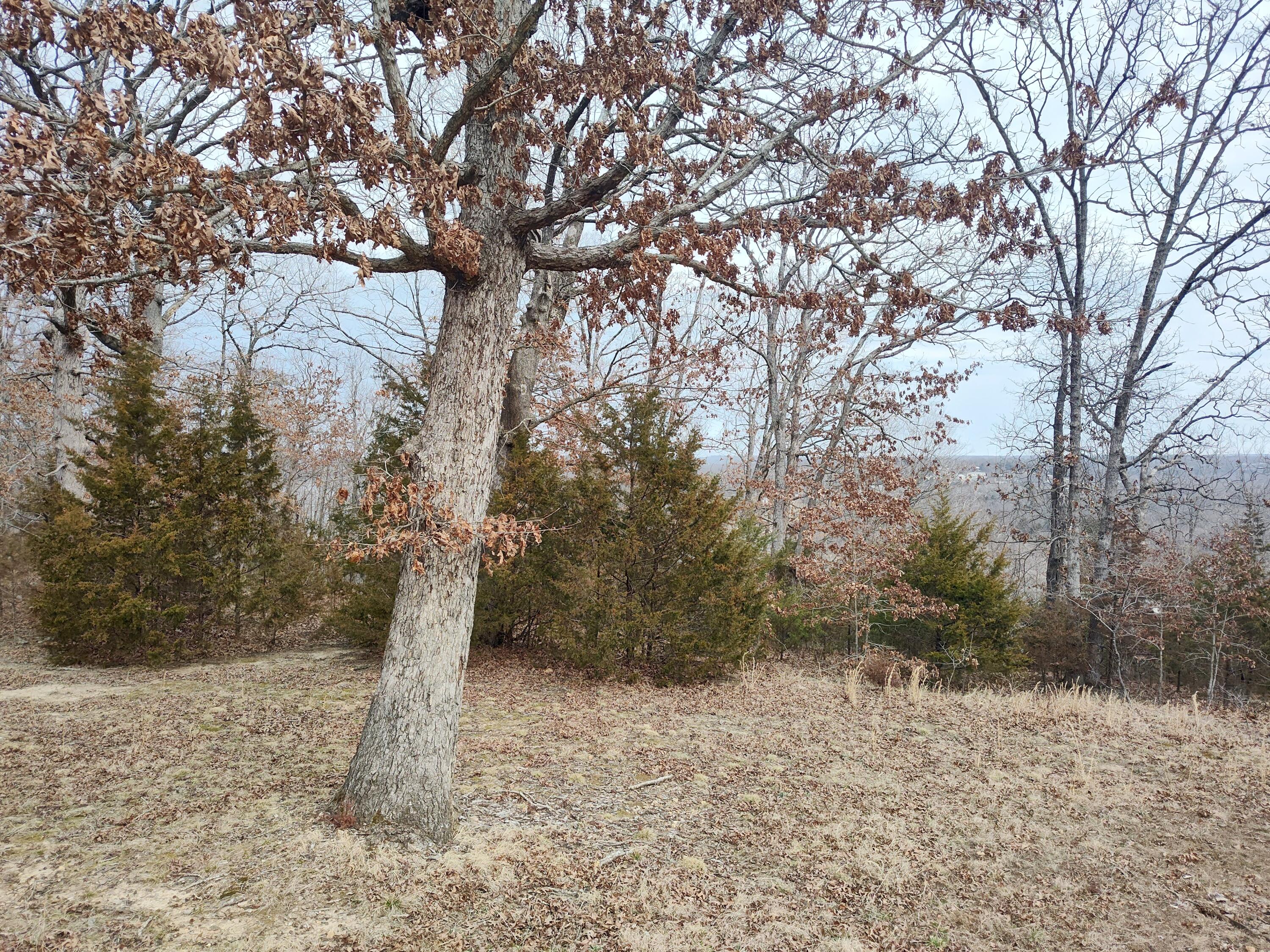 25611 County Road 324 Property Photo 54