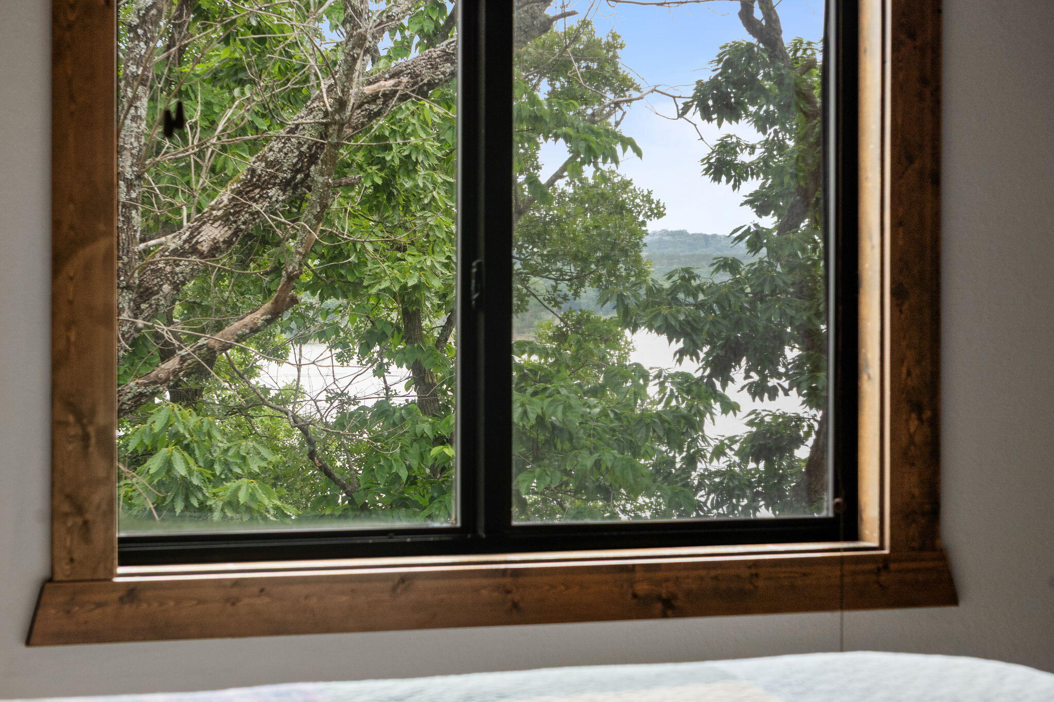 429 East Chinquapin Circle 607 Property Photo 37