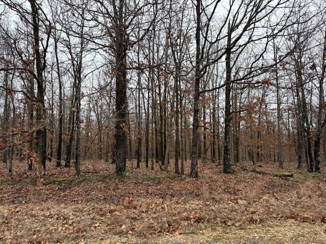 6.47 Acres Hawkweed Trail Property Photo 1