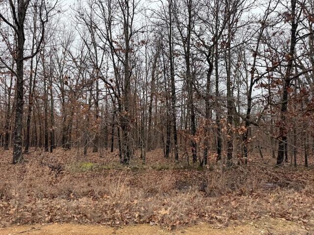 6.47 Acres Hawkweed Trail Property Photo 2